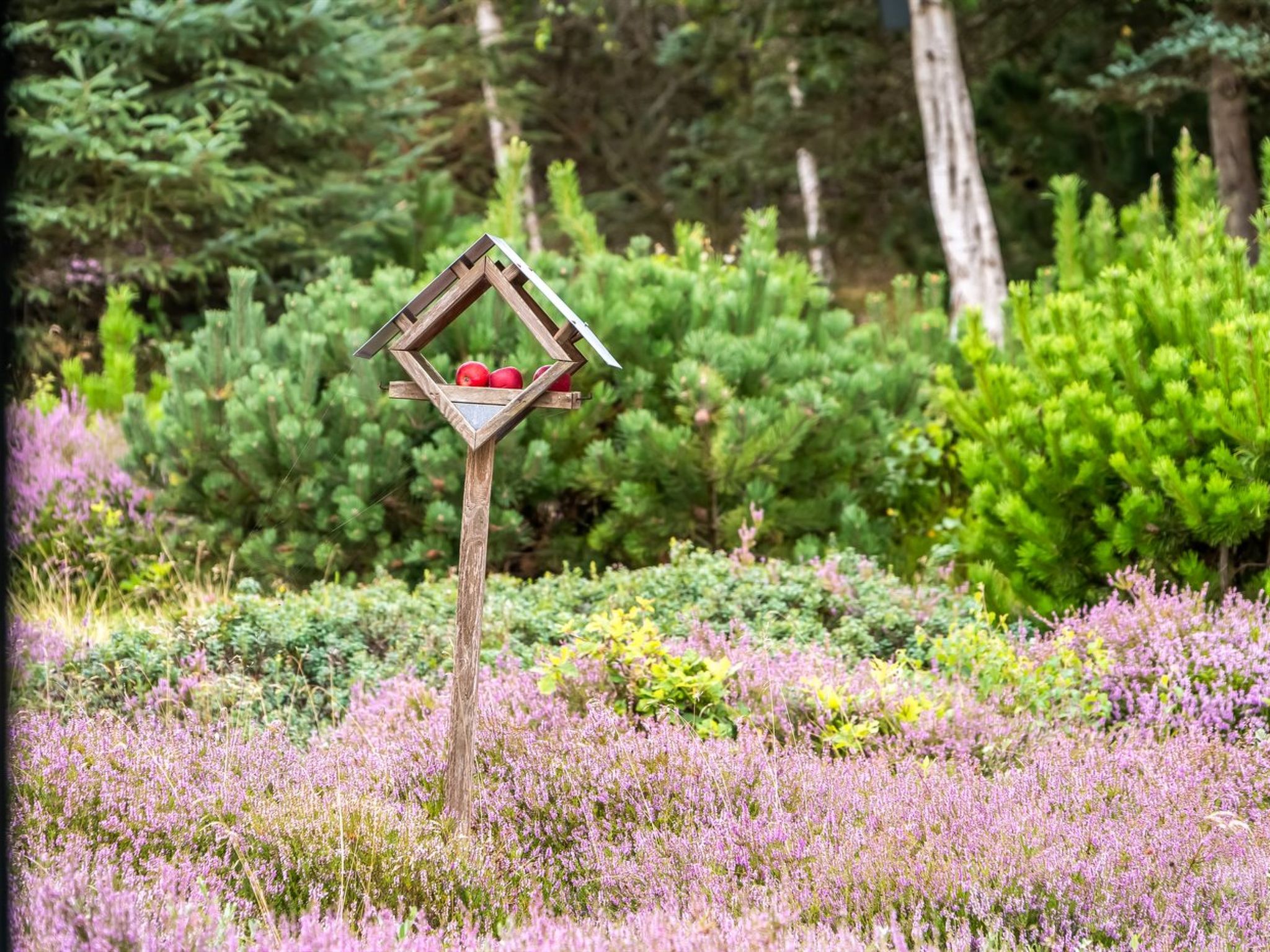 "Eeske" - 2.5km from the sea-Dehors