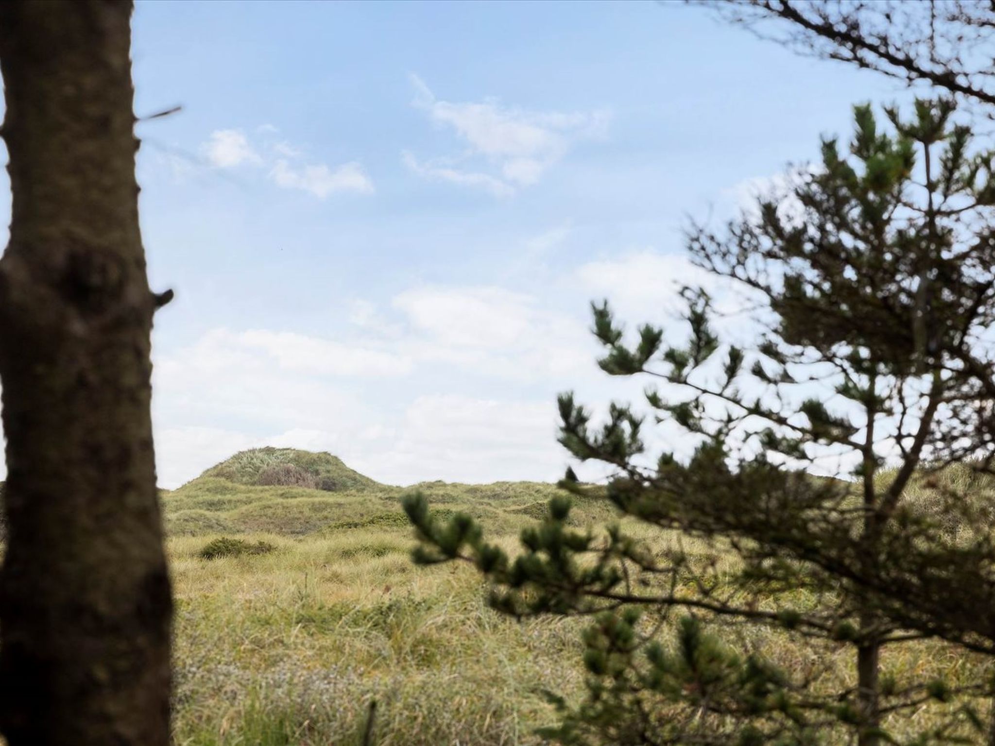 "Patti" - 700m from the sea-Dehors