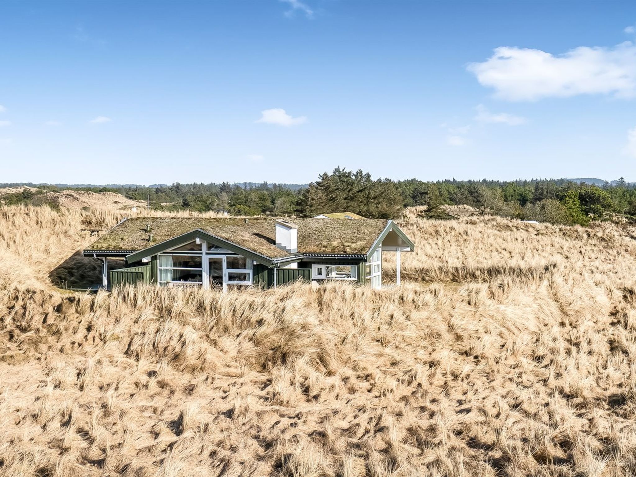 "Thorsten" - 600m from the sea