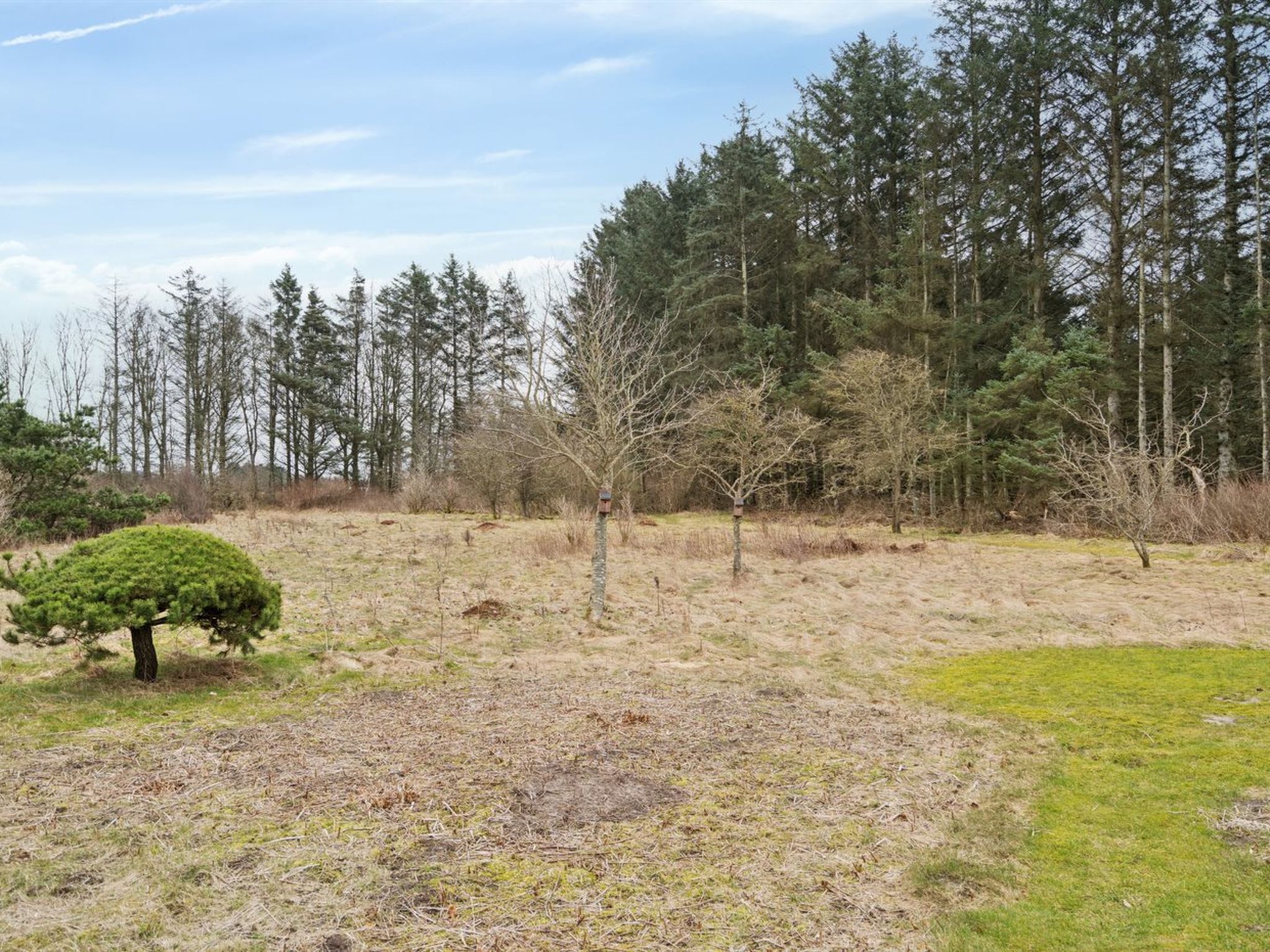 "Algeth" - 2.5km from the sea
