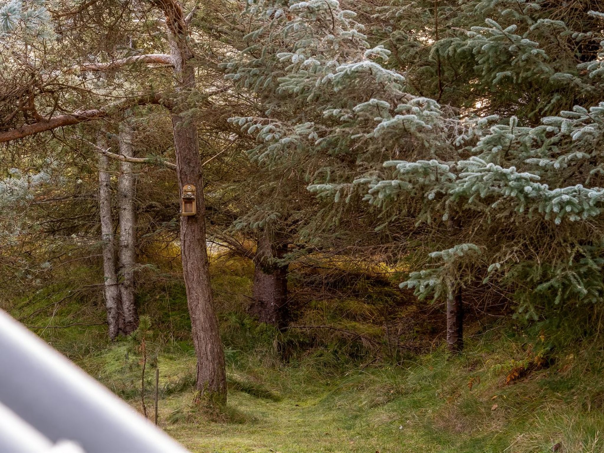 "Ejla" - 600m from the sea-Dehors