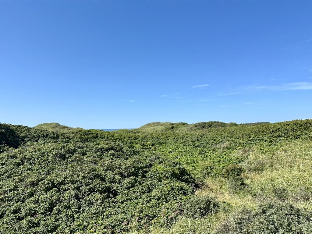 'Annaliese' - 175m from the sea