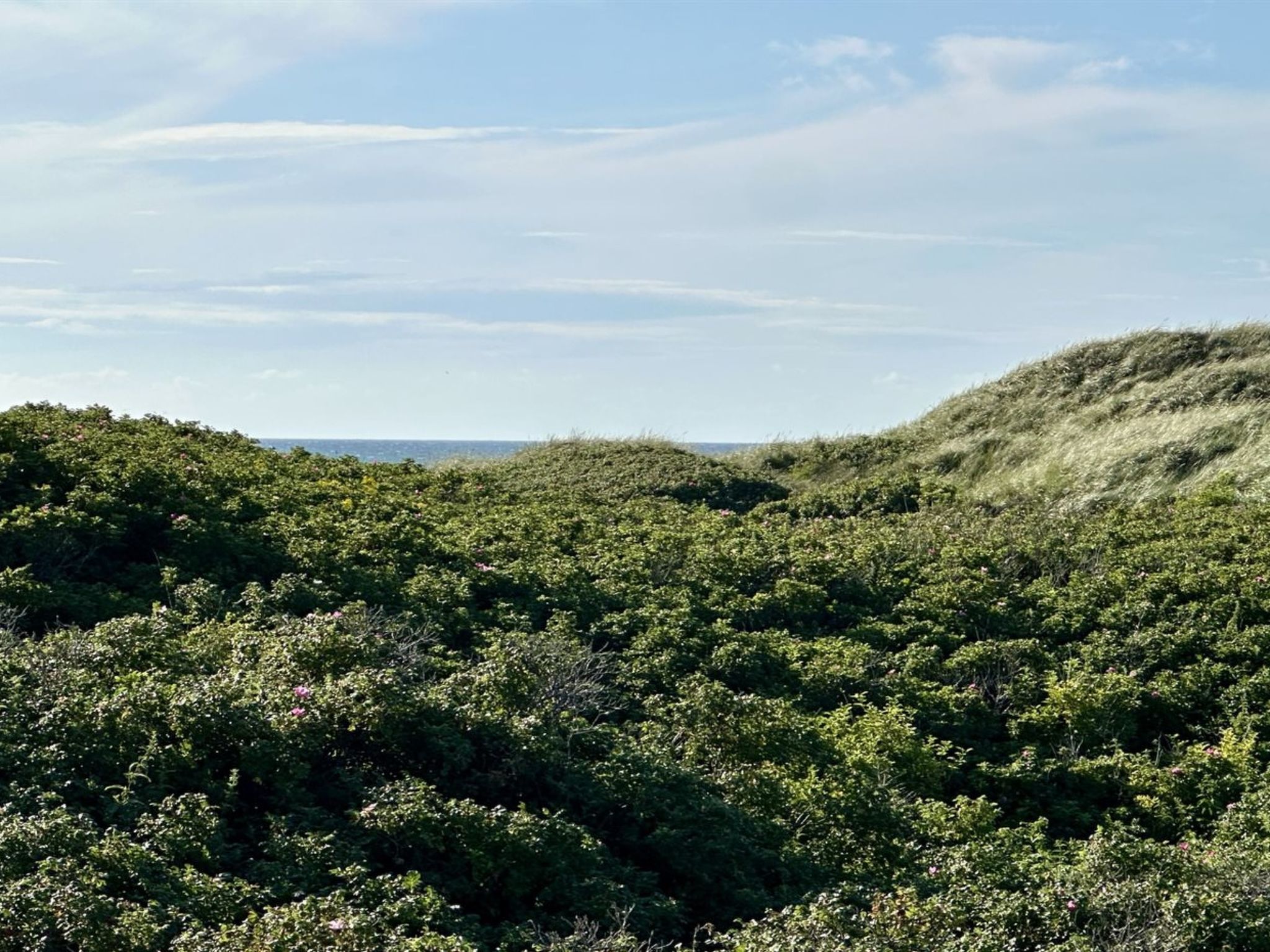 "Annaliese" - 175m from the sea-Buiten
