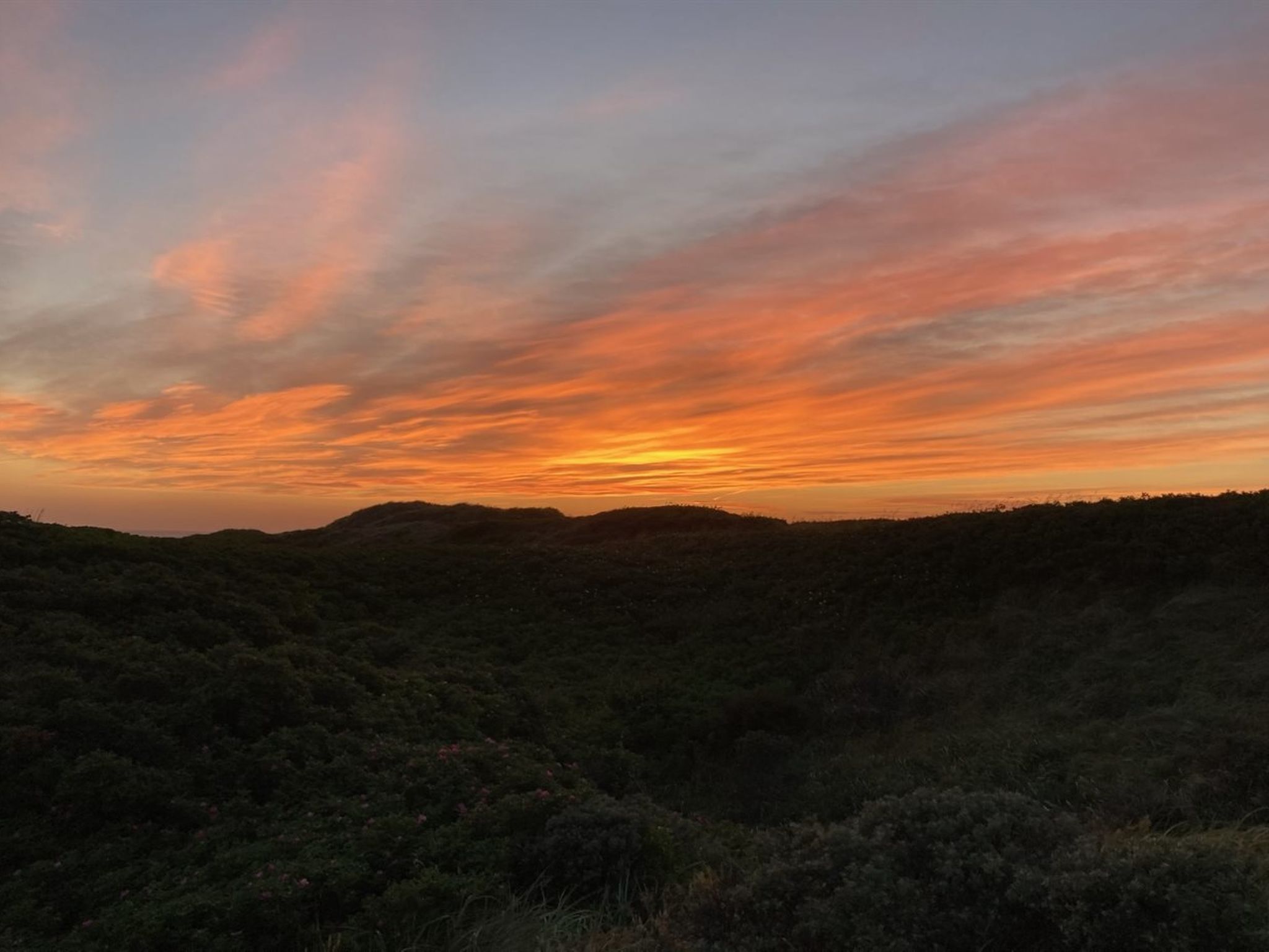 "Annaliese" - 175m from the sea-Buiten