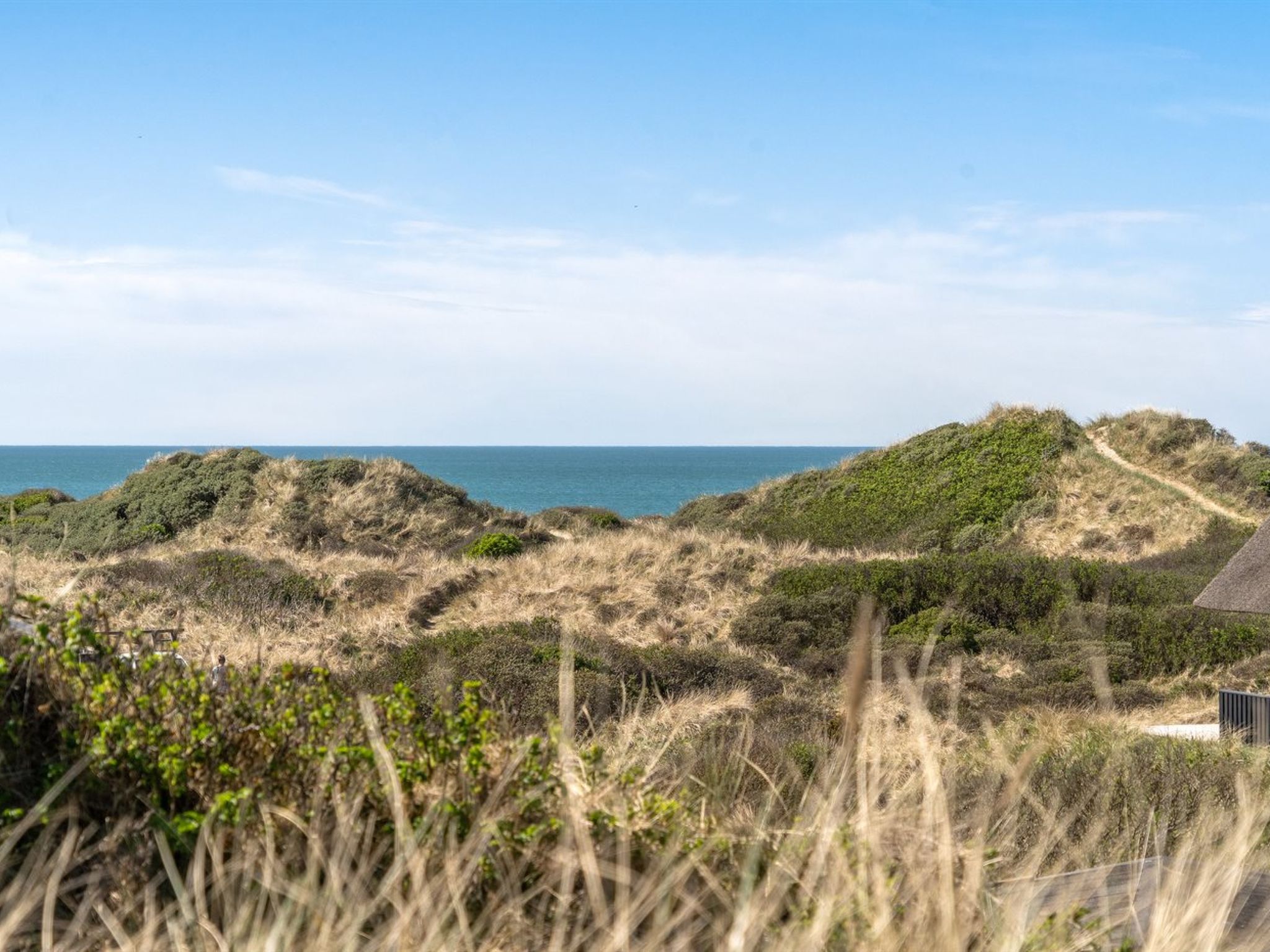 "Felis" - 200m from the sea