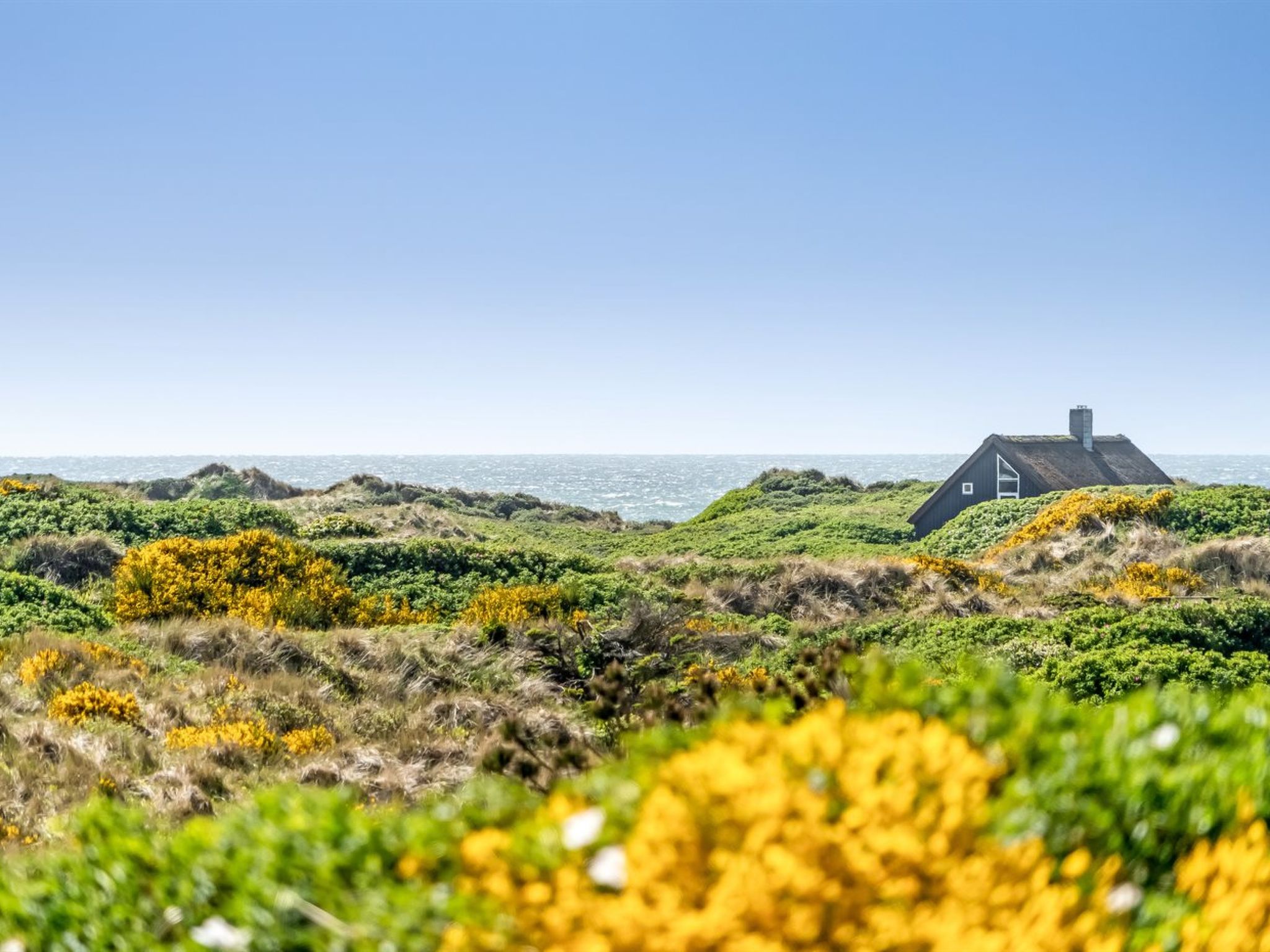 "Ehawee" - 350m from the sea - Buiten