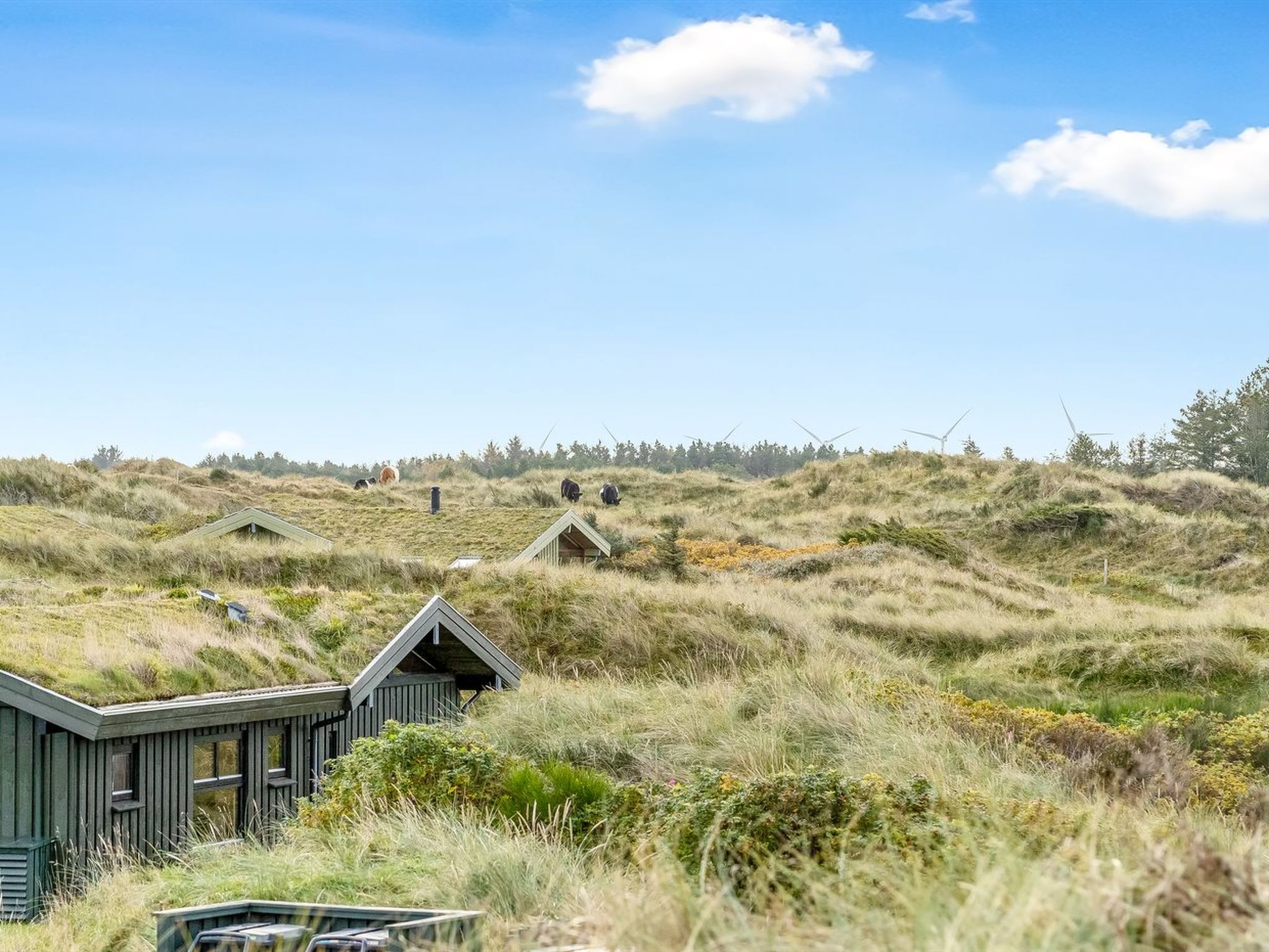 "Fransine" - 480m from the sea - Buiten