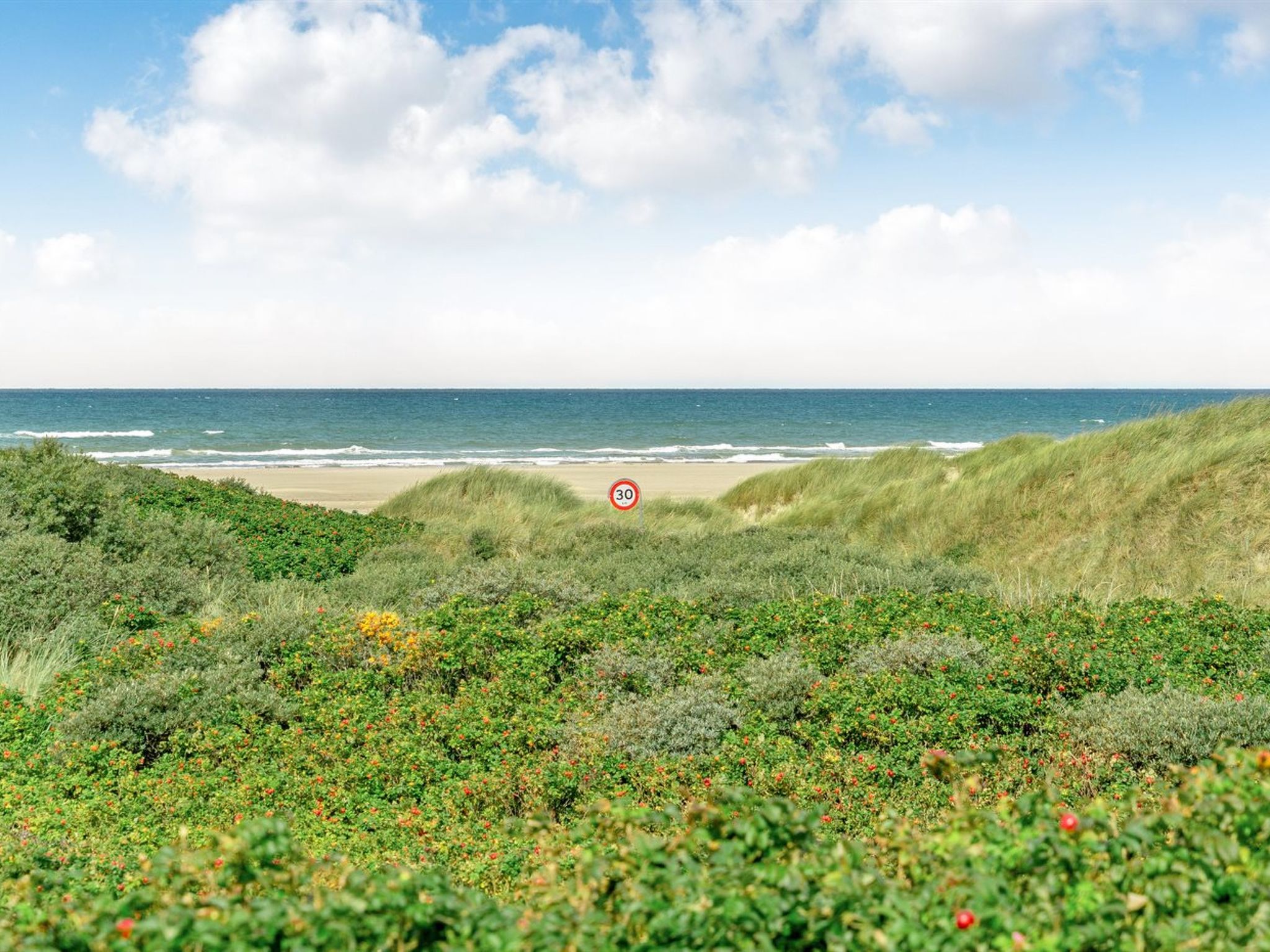 "Ejvind" - 100m from the sea - Buiten