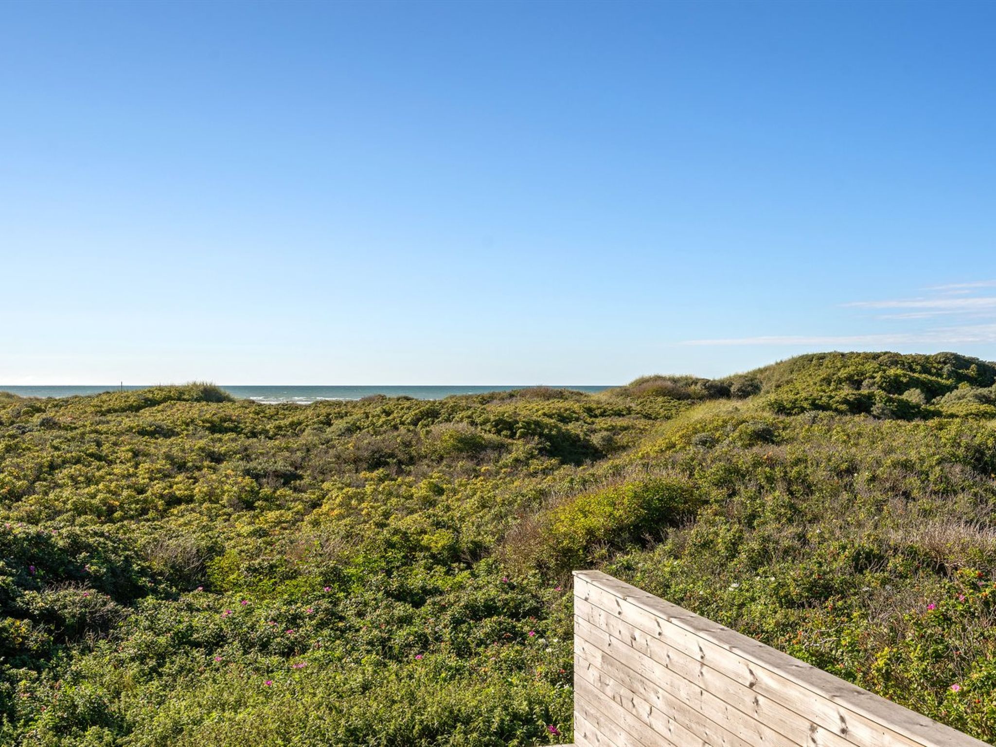 "Rauli" - 50m from the sea - Buiten