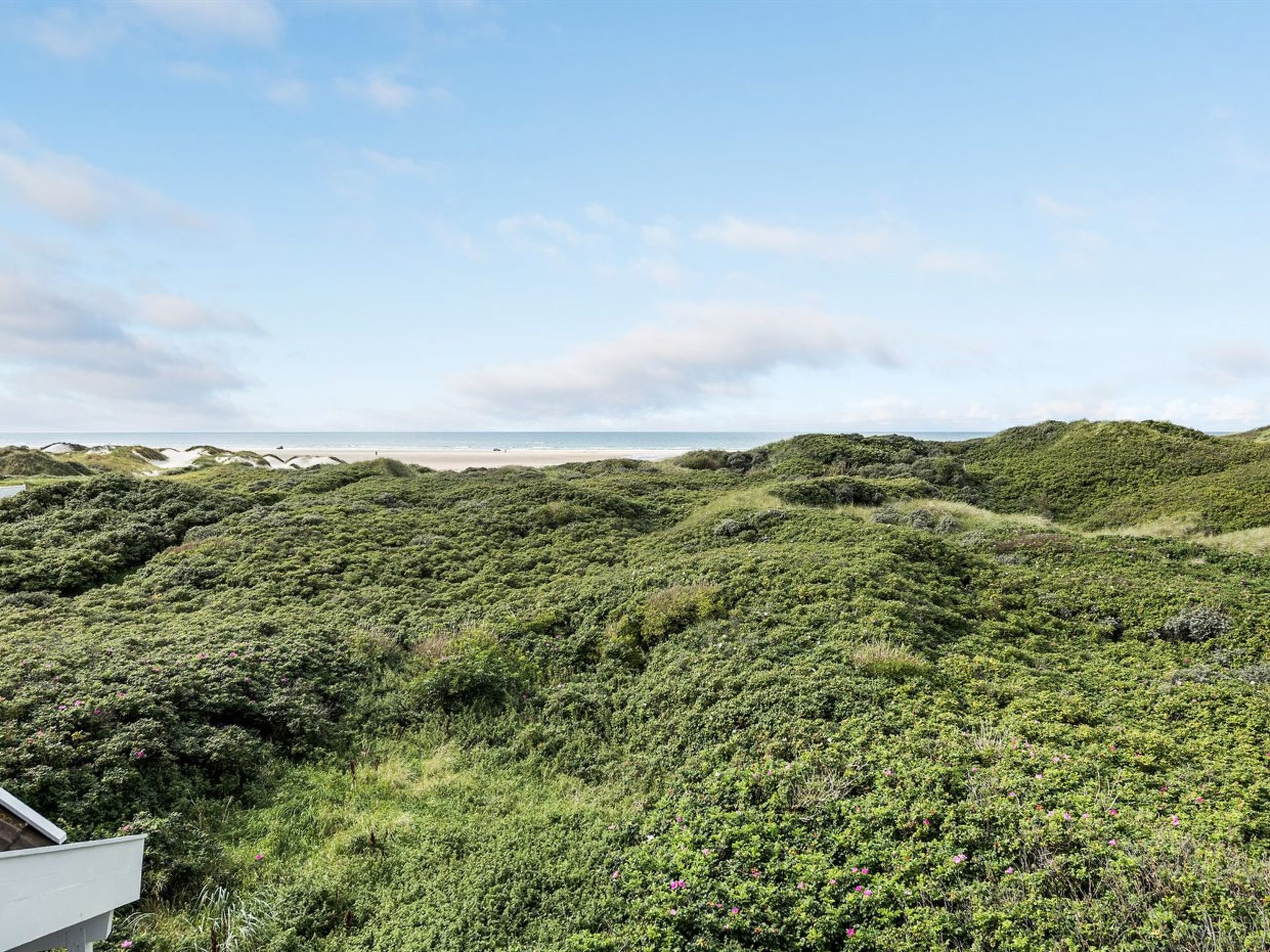 "Rauli" - 50m from the sea - Buiten