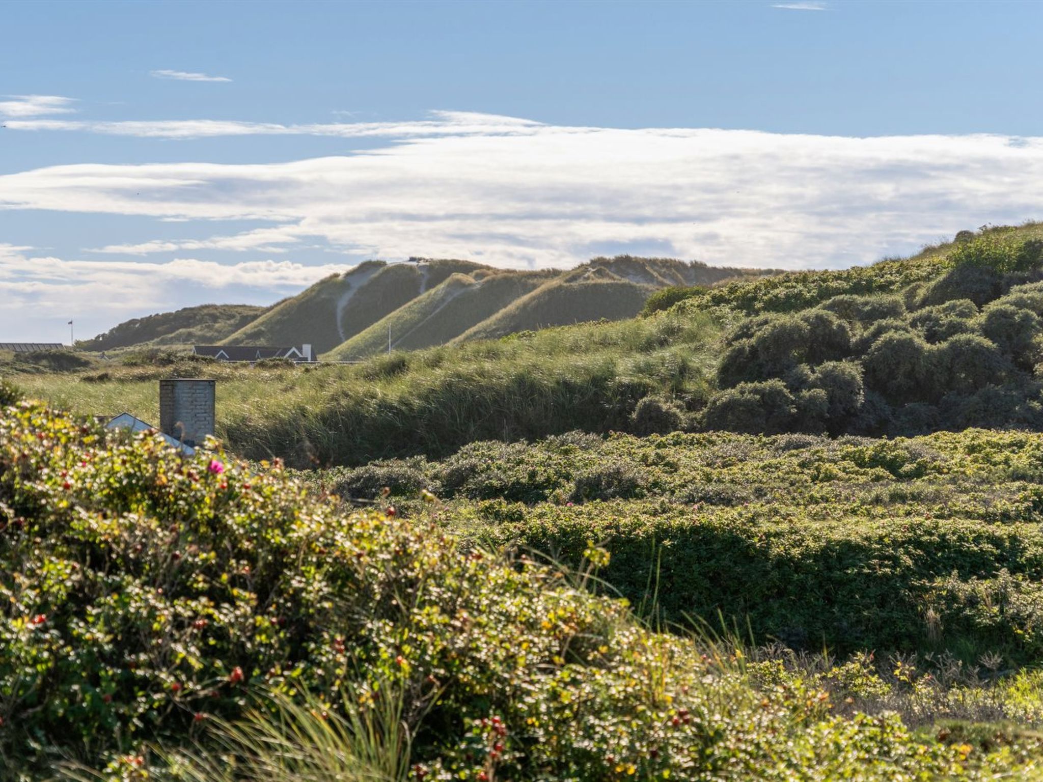 "Rauli" - 50m from the sea - Buiten