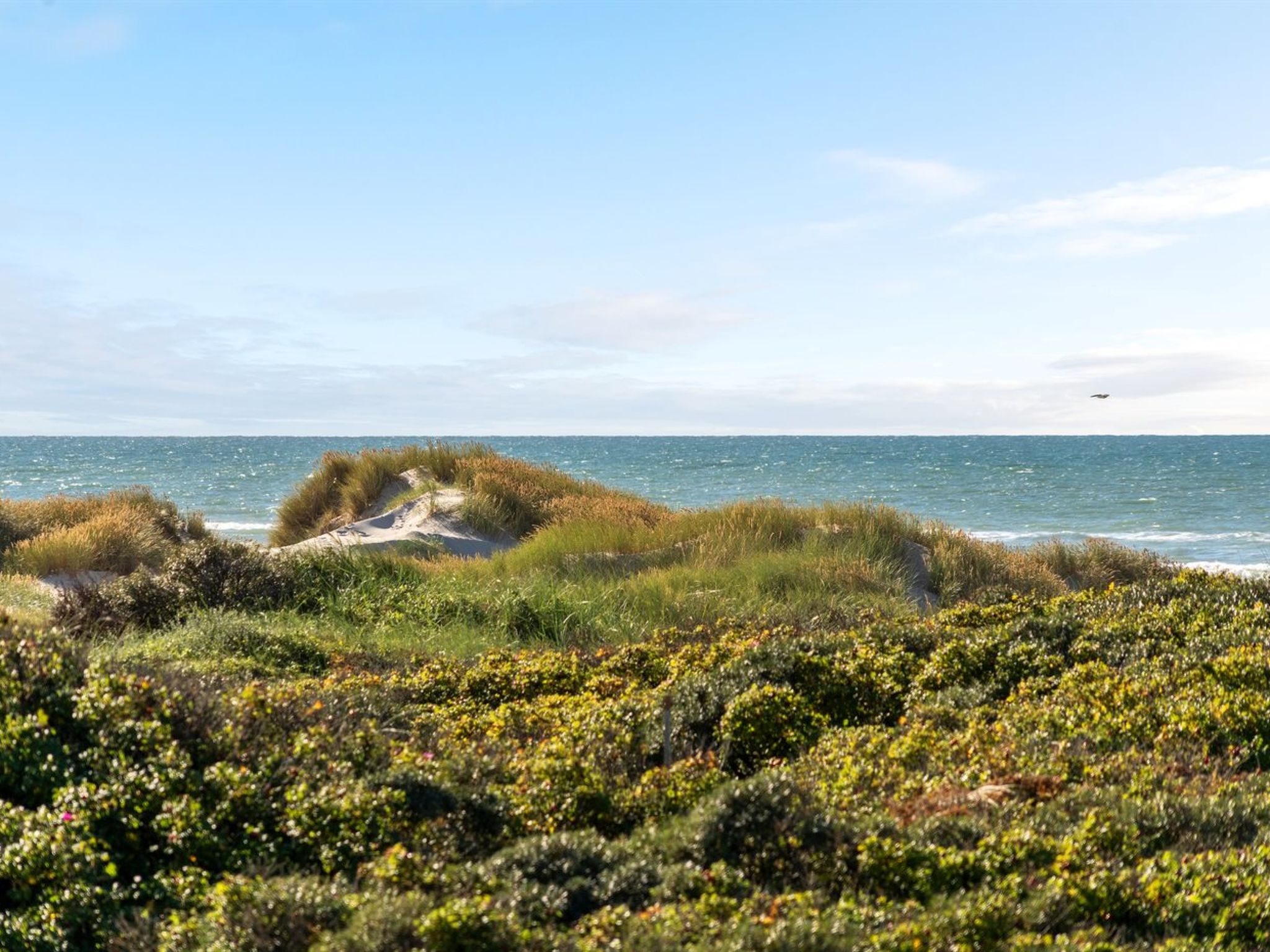 "Rauli" - 50m from the sea - Buiten
