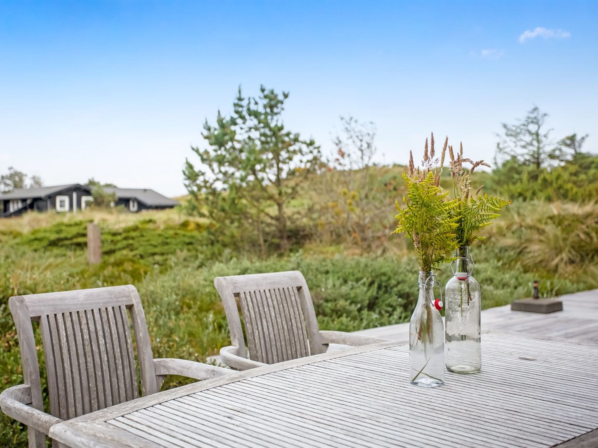 "Cate" - 900m from the sea — Terrace (4 of 21)