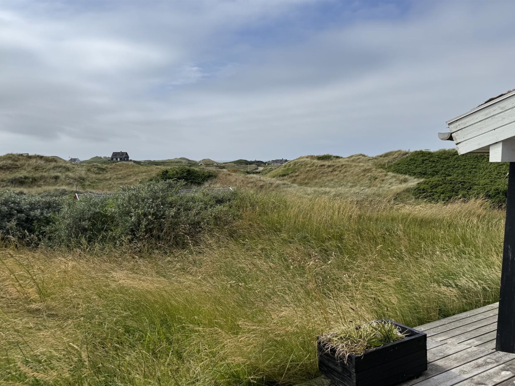 "Marcus" - 500m from the sea