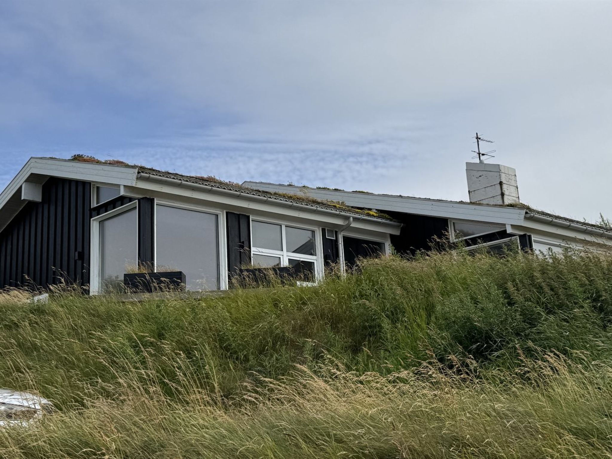"Marcus" - 500m from the sea-Outside