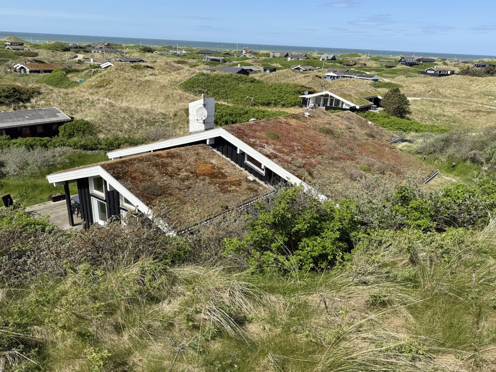 "Marcus" - 500m from the sea