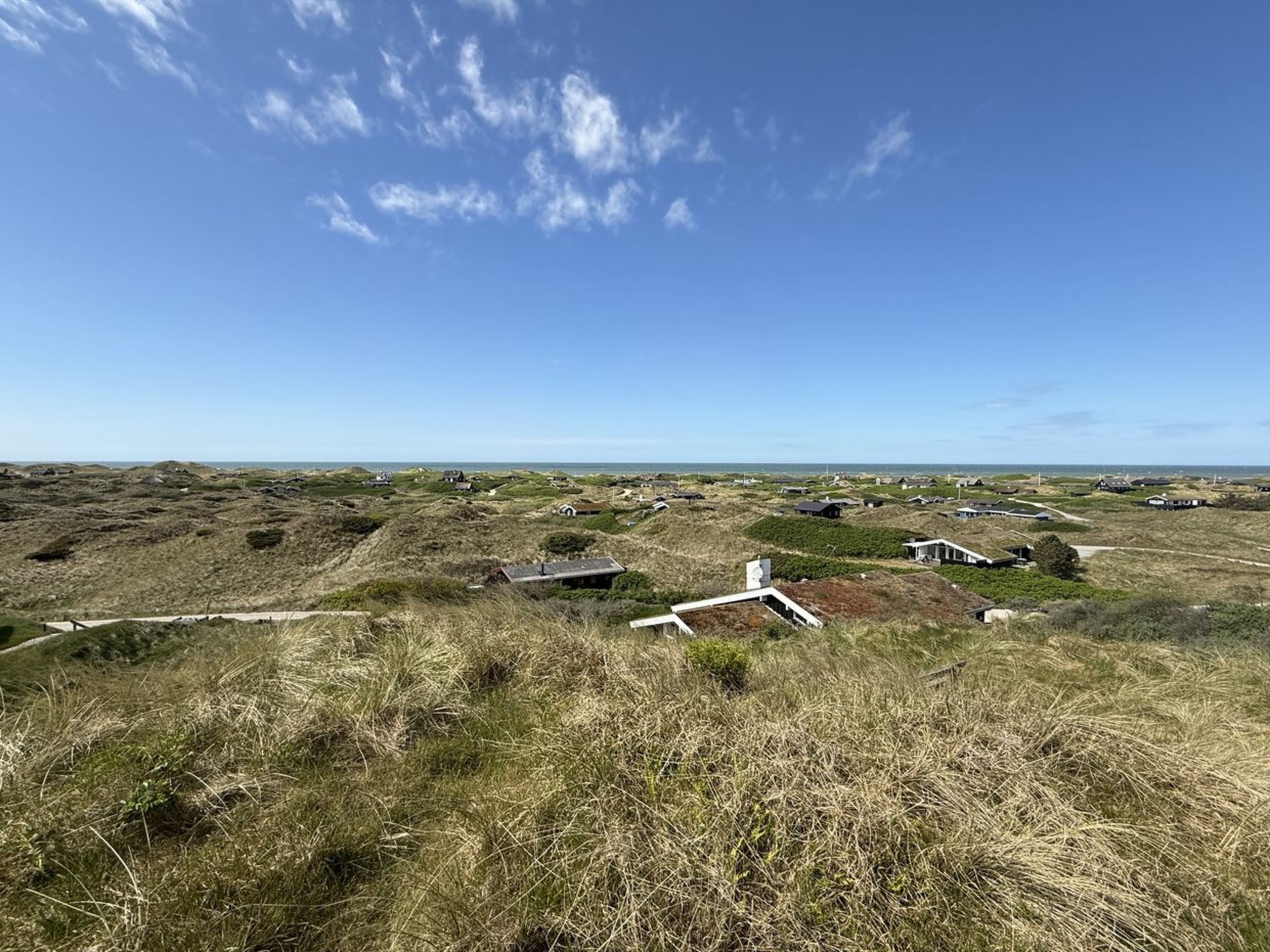 "Marcus" - 500m from the sea