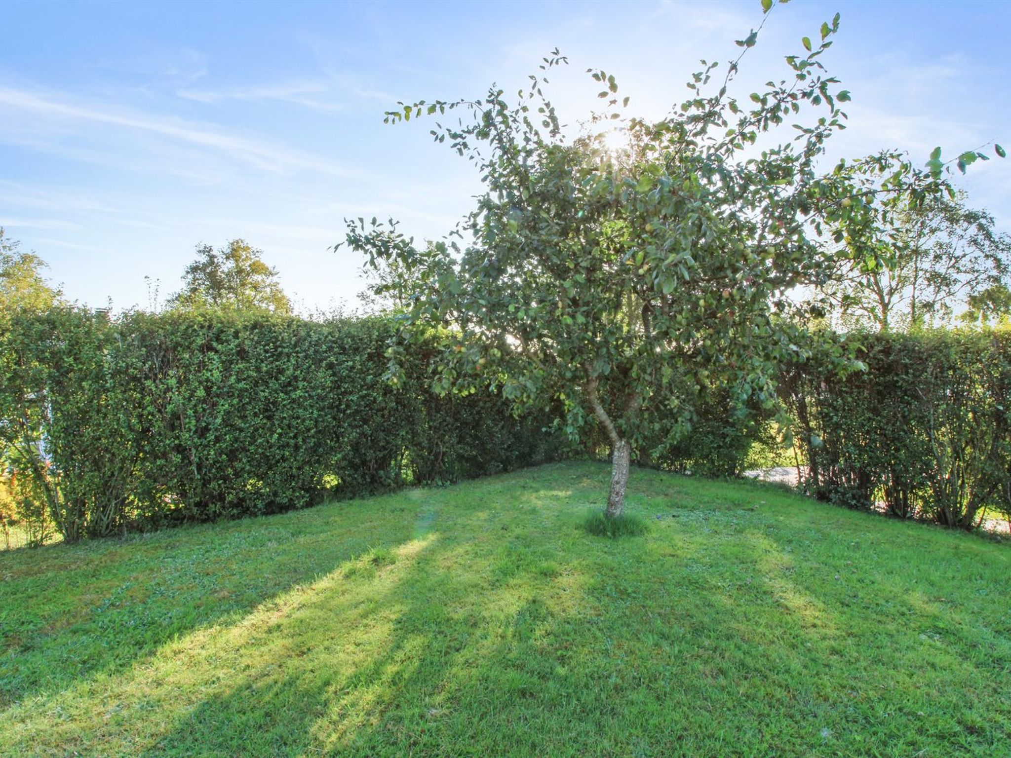 "Simjanka" - 600m from the sea - Dehors