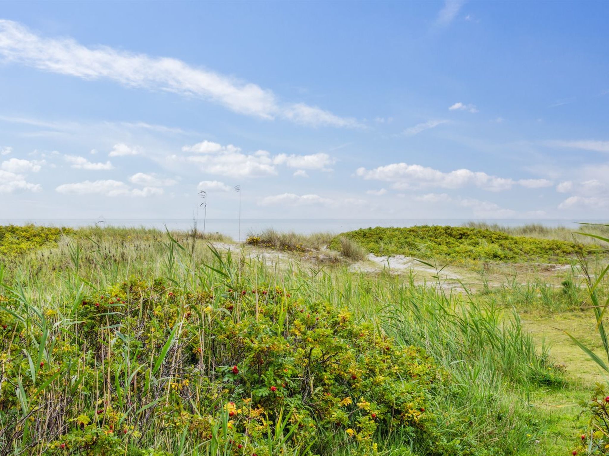 "Akseline" - 300m from the sea