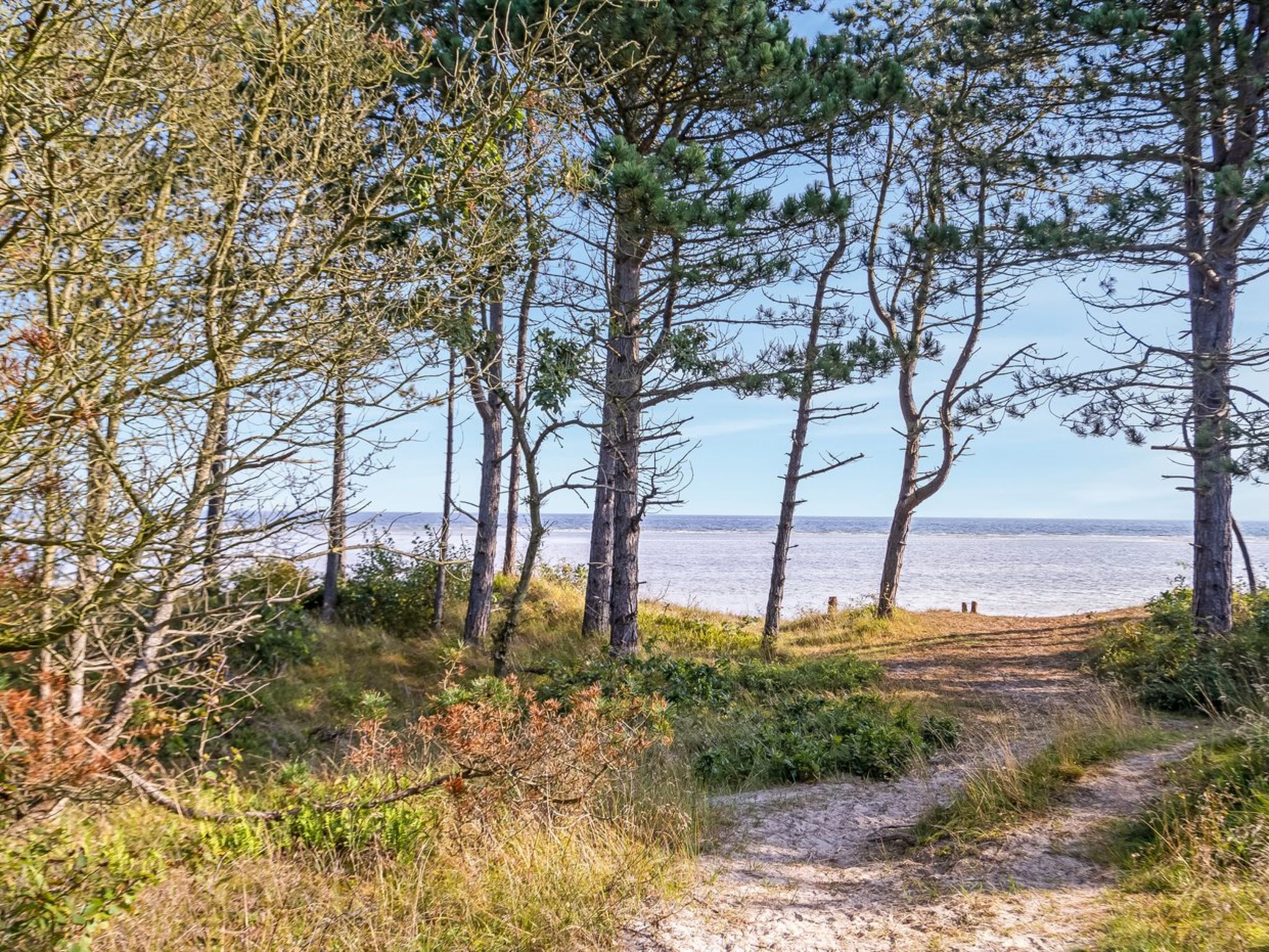 "Amai" - 100m from the sea - Dehors