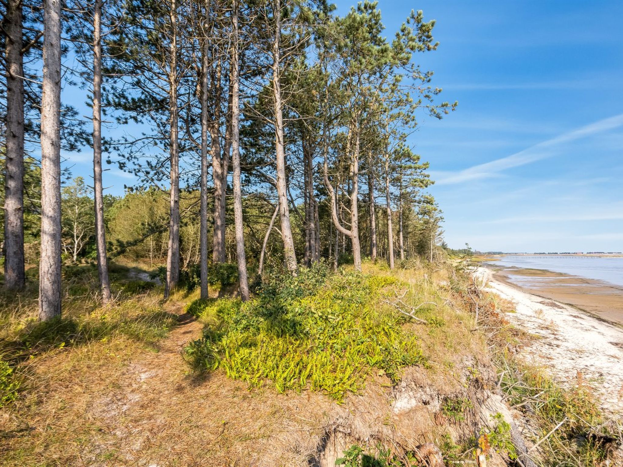 "Amai" - 100m from the sea - Dehors