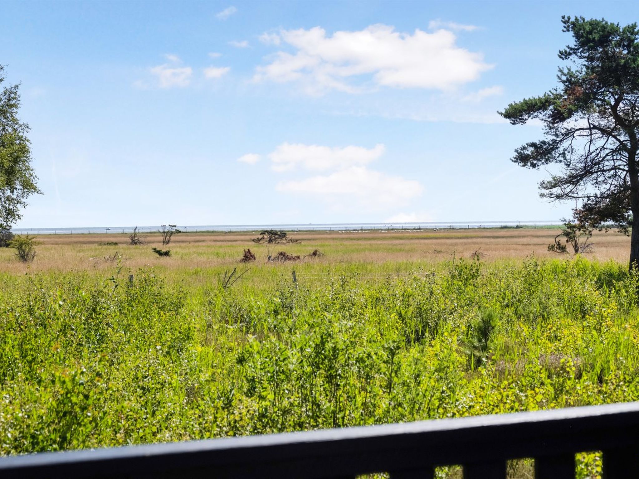 "Griselda" - 400m from the sea-Outside