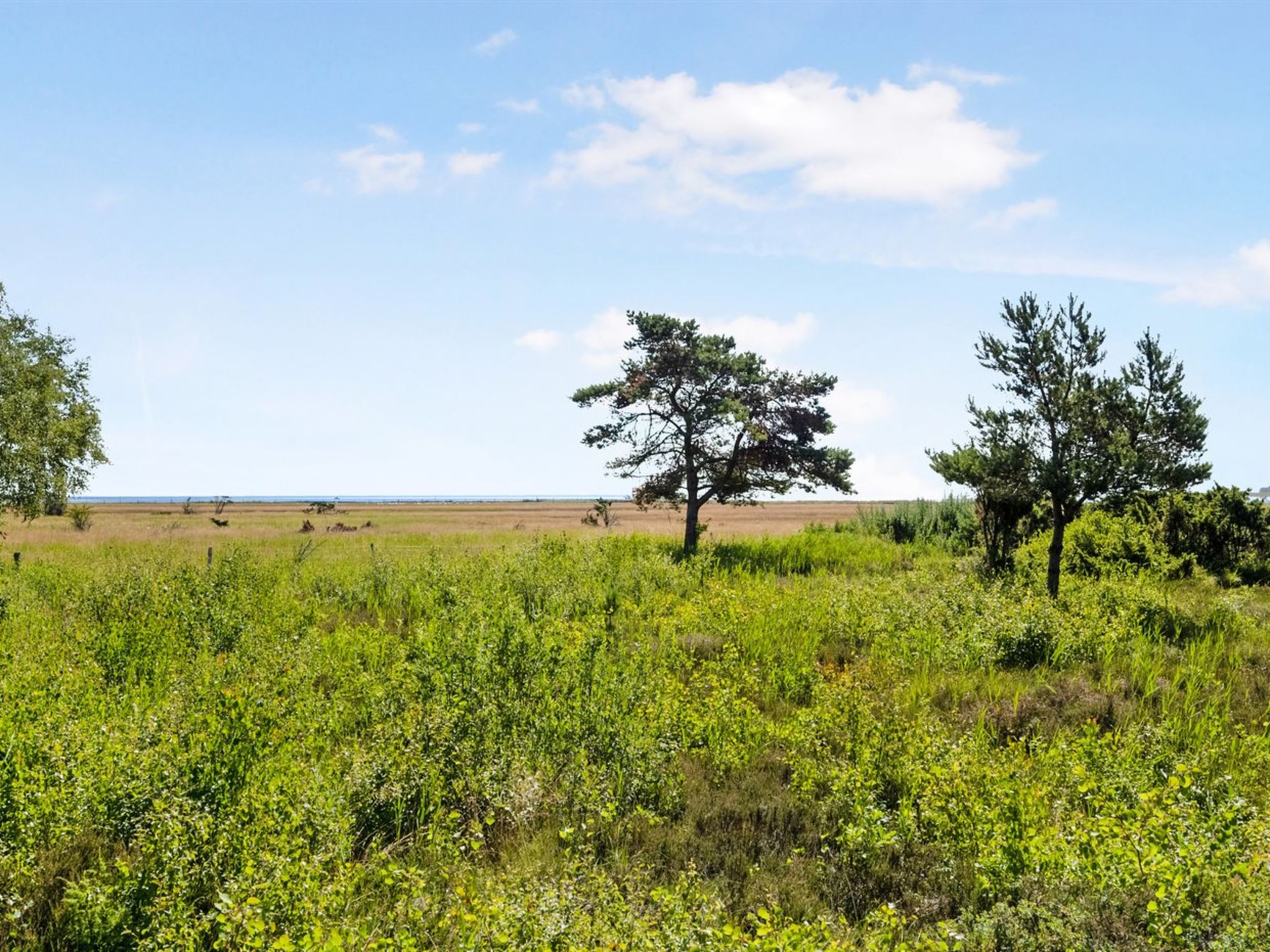 "Griselda" - 400m from the sea - Outside