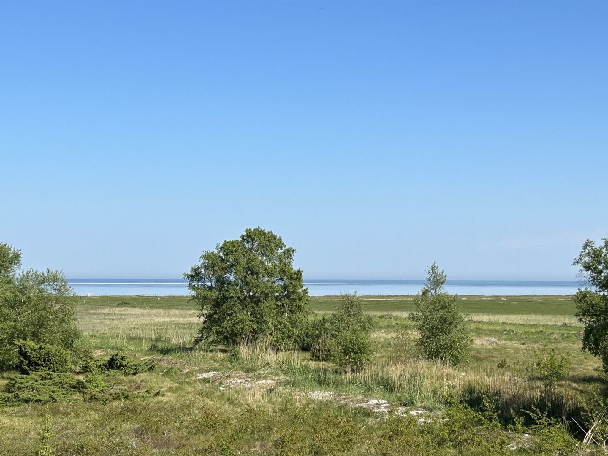 "Thorbiorn" -  from the sea - Buiten