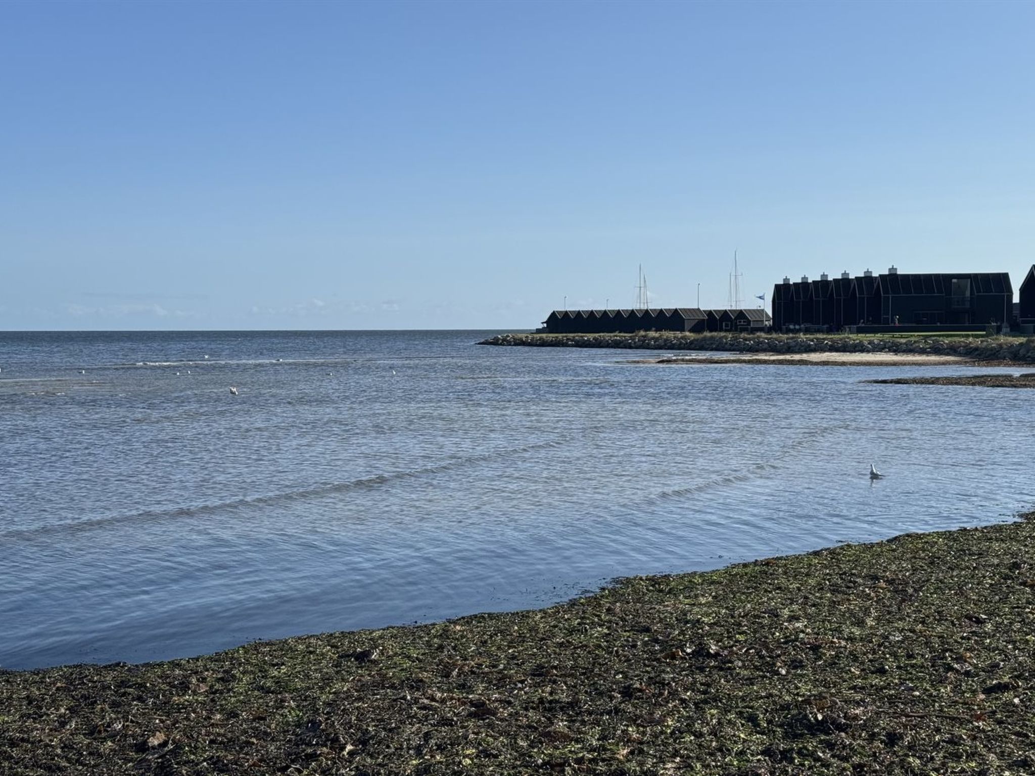 "Elevus" -  from the sea - Buiten
