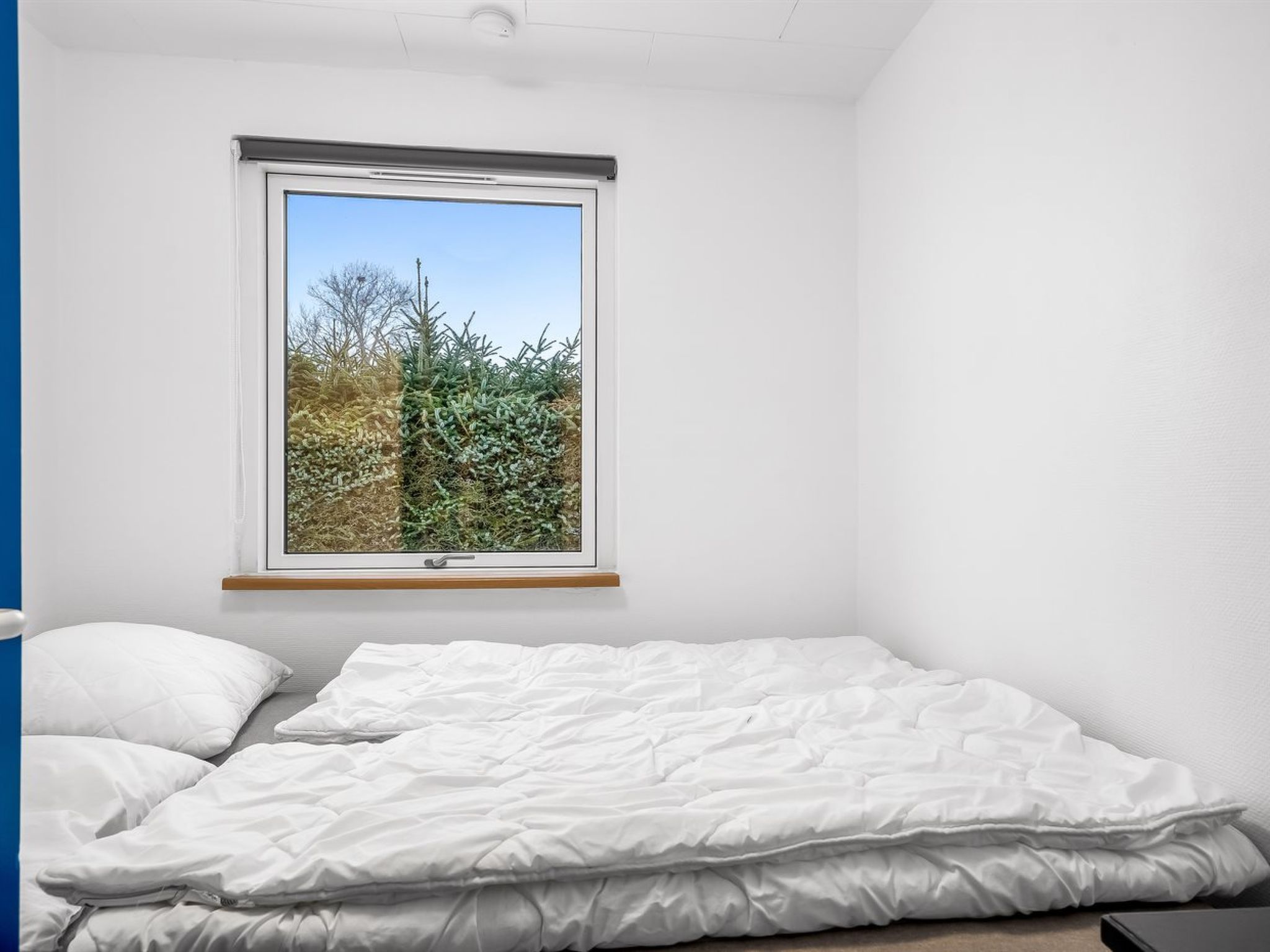 Photo of "Allyson" -  from the sea