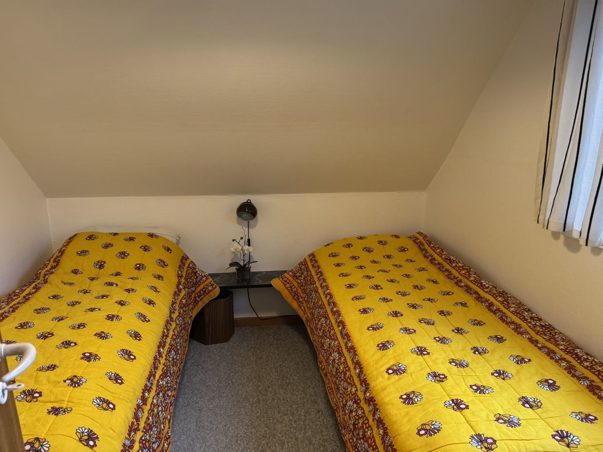 "Diertje" -  from the sea-Binnen