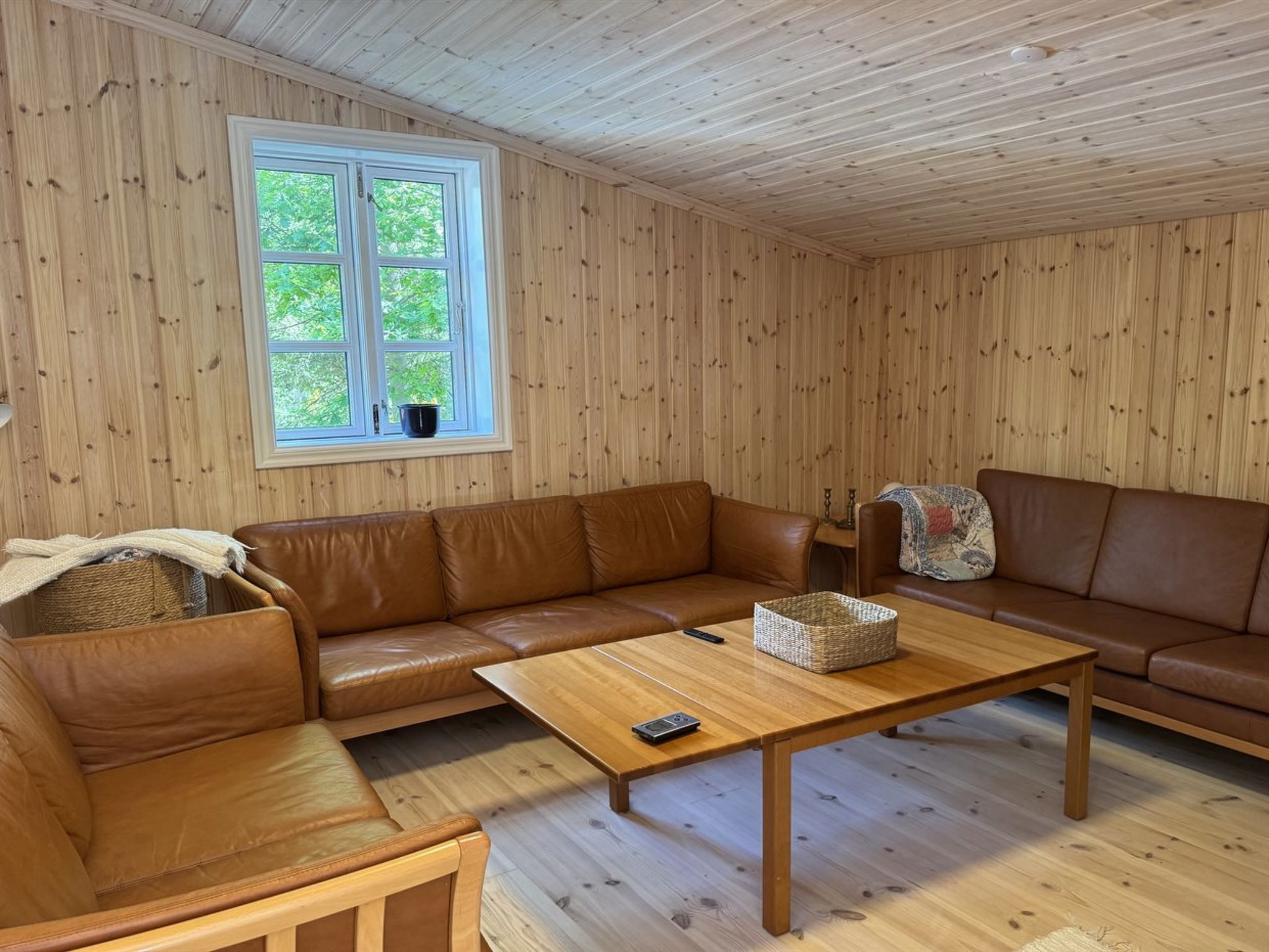 "Felippa" -  from the sea