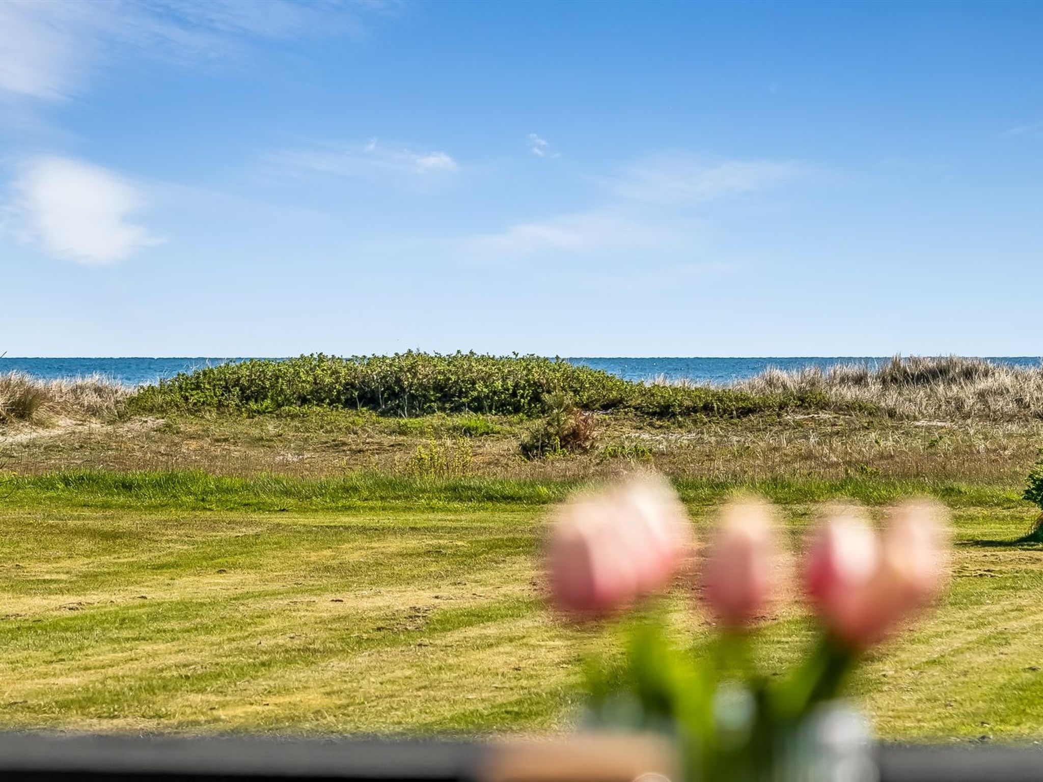Photo of "Nomi" - 100m from the sea