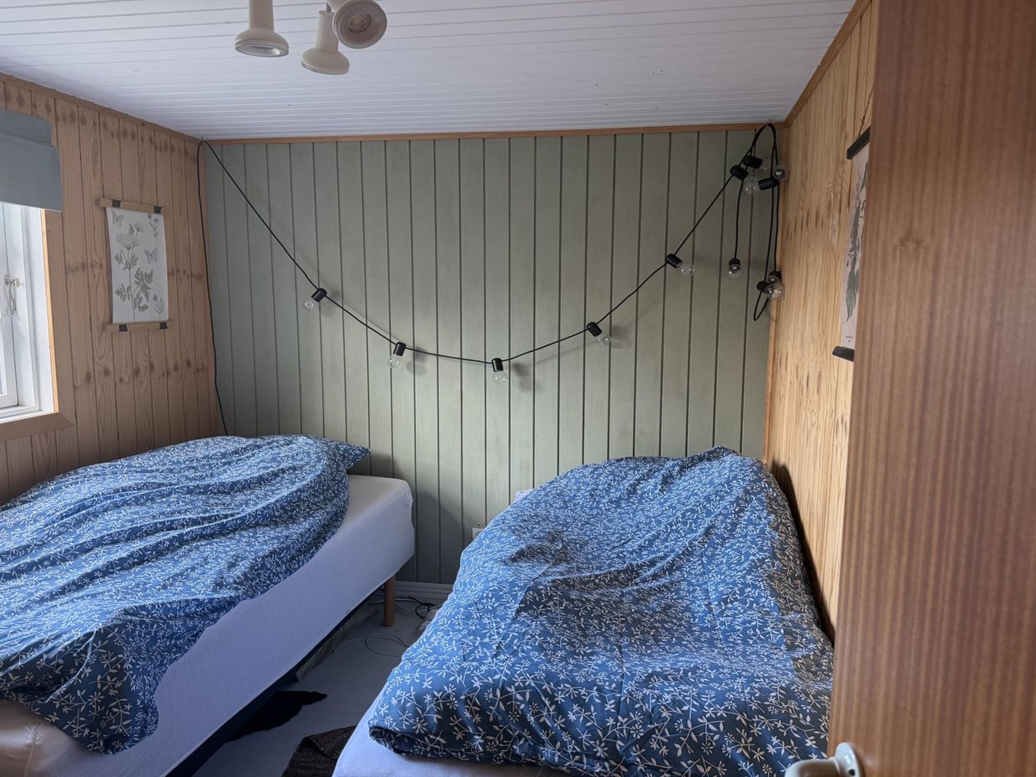 Photo of "Bo" - 250m from the sea