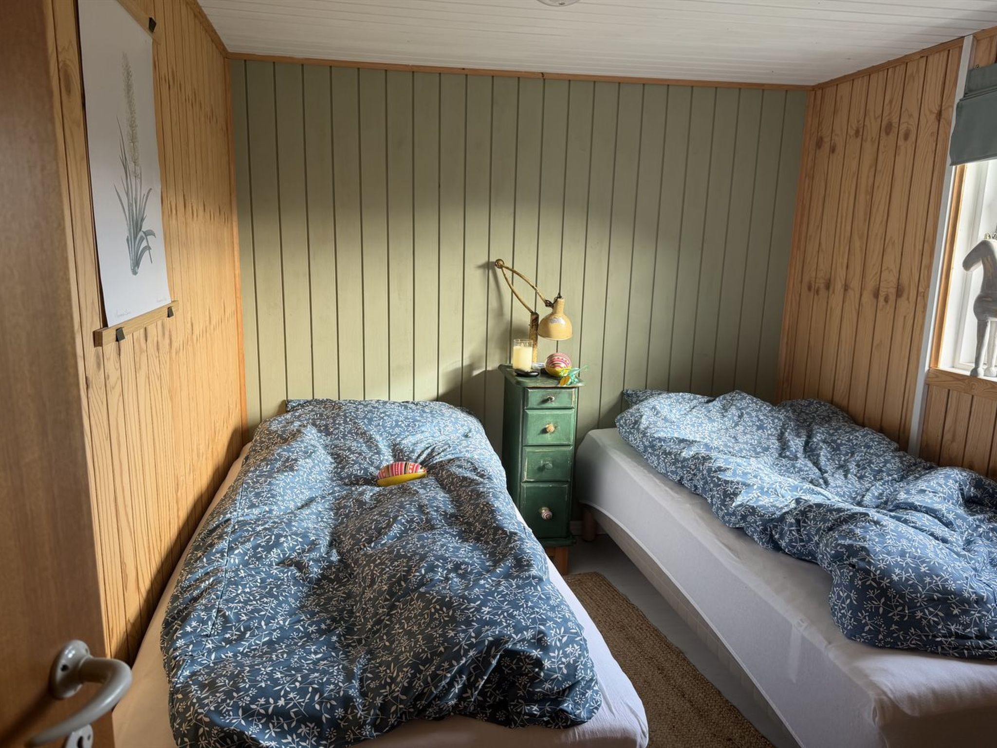 Photo of "Bo" - 250m from the sea