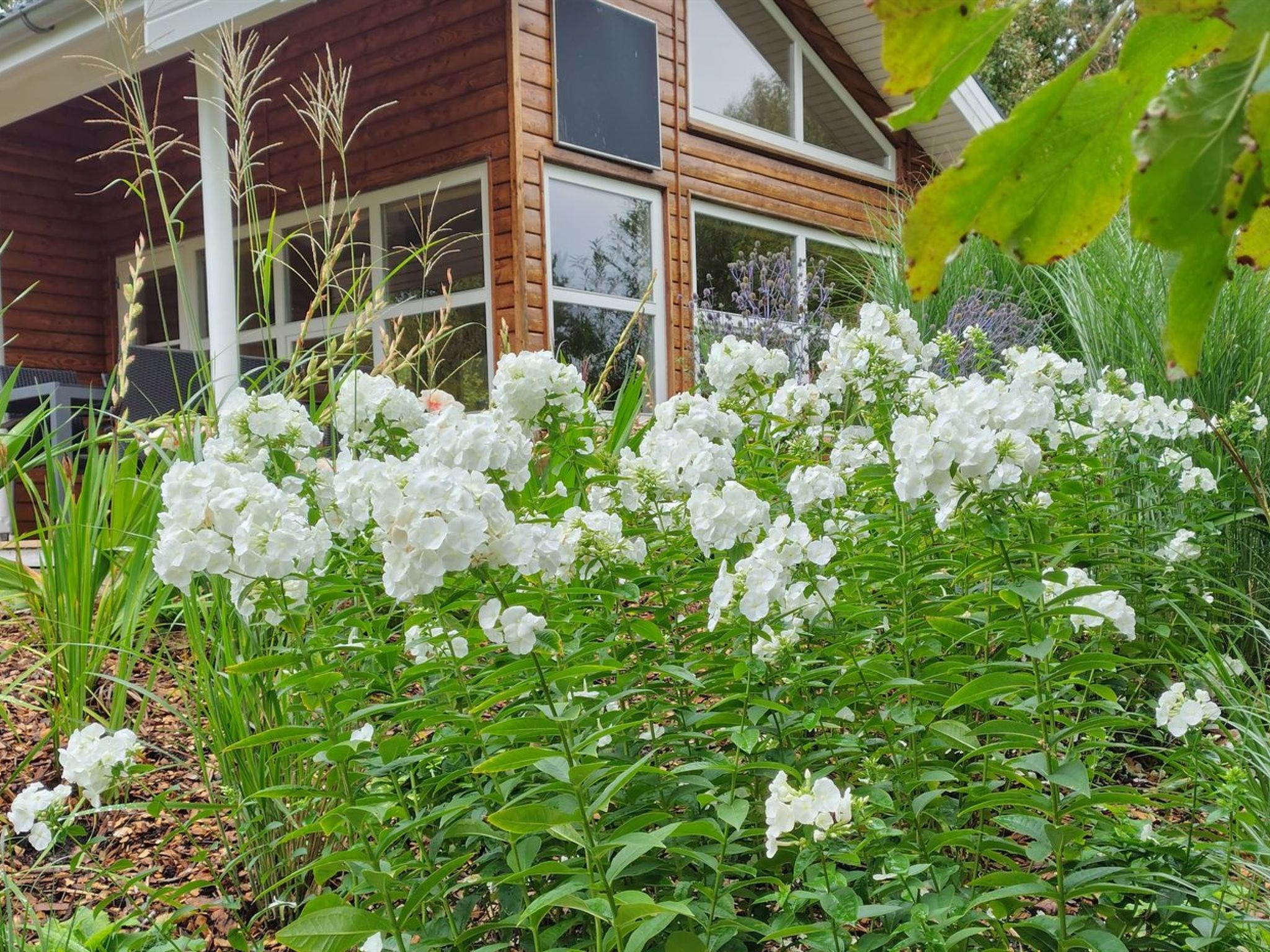 Maison "Krister" - 250m to the fjord – Extérieur de la maison, photo 24 sur 32