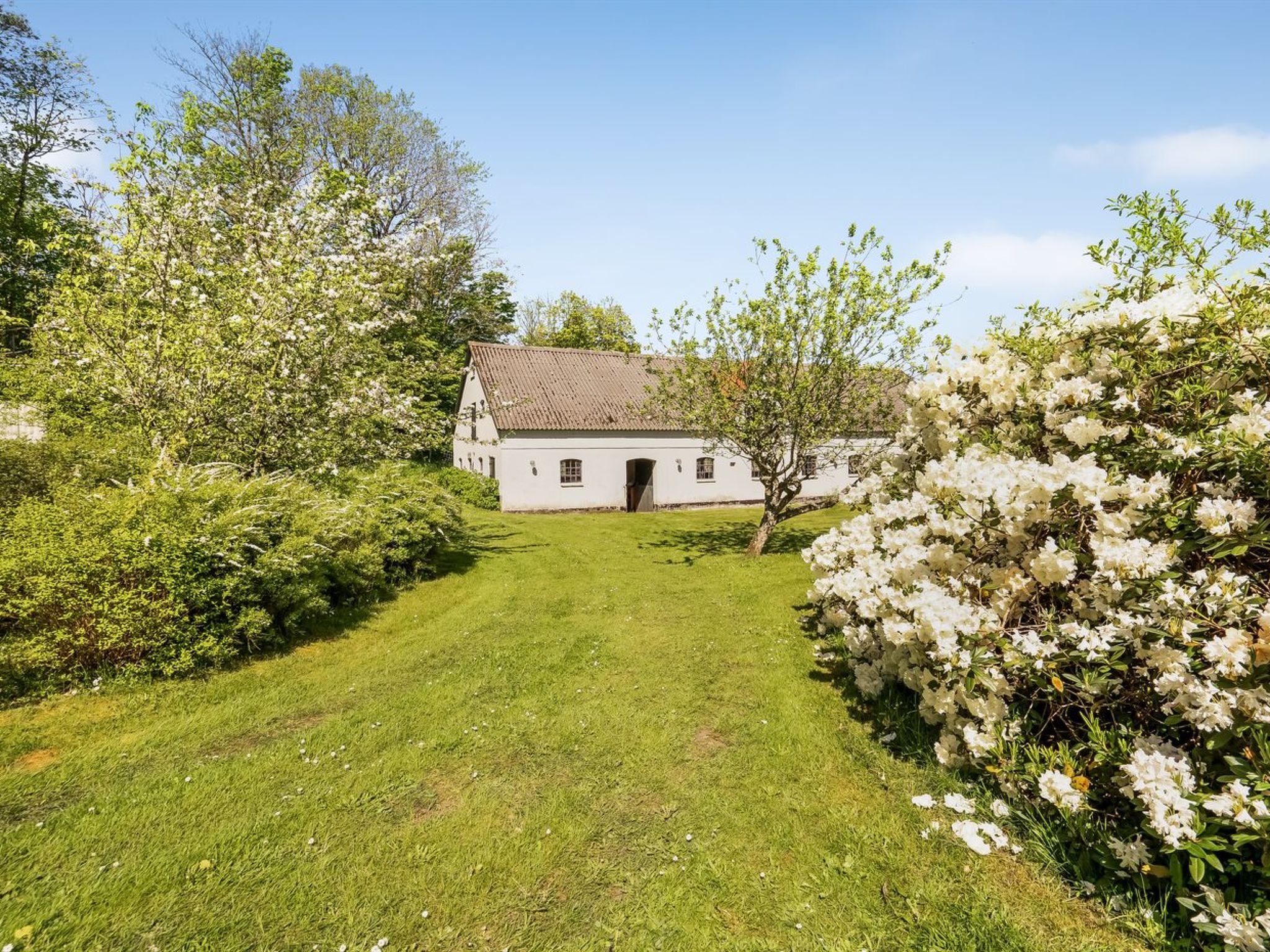 Maison "Ejnarine" - 600m to the fjord – Environs, photo 20 sur 30