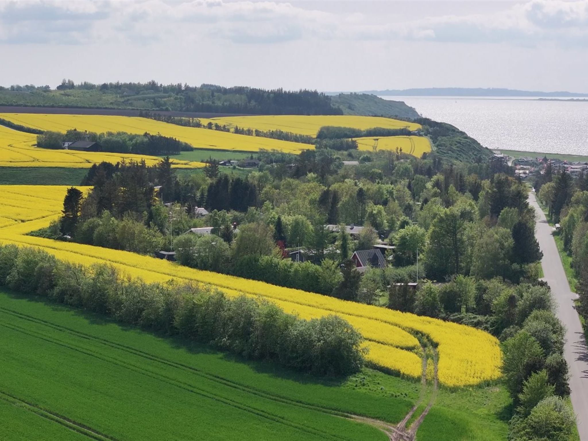 "Aranja" - 300m to the fjord - Buiten
