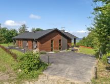 Ruim vakantiehuis Andri met sauna op 600 meter van de Limfjord - thumbnail 1