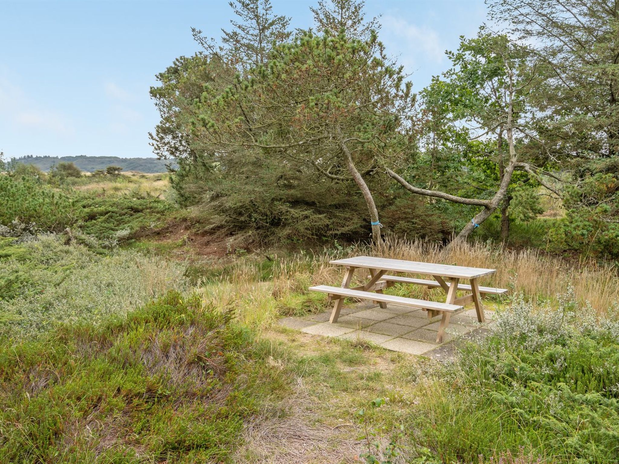 "Waldar" - 900m from the sea - Buiten