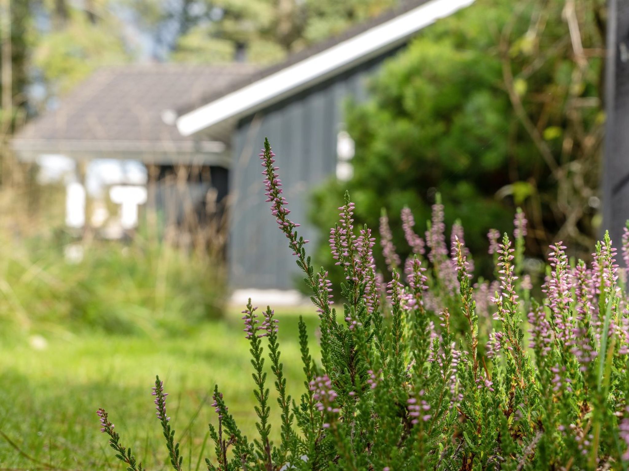"Grimi" - 4km from the sea - Buiten
