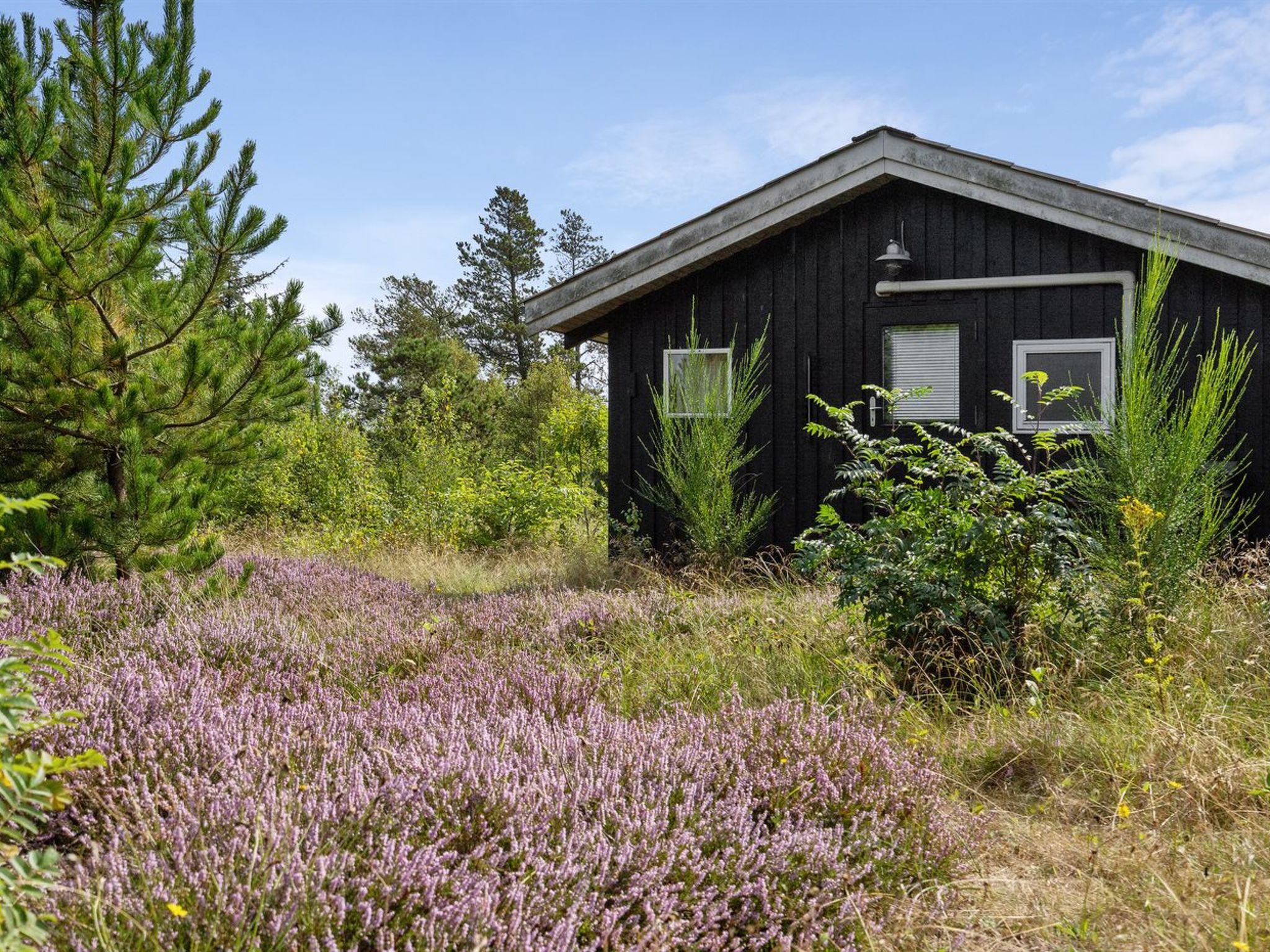 "Asmo" - 350m from the sea — House (4 of 20)