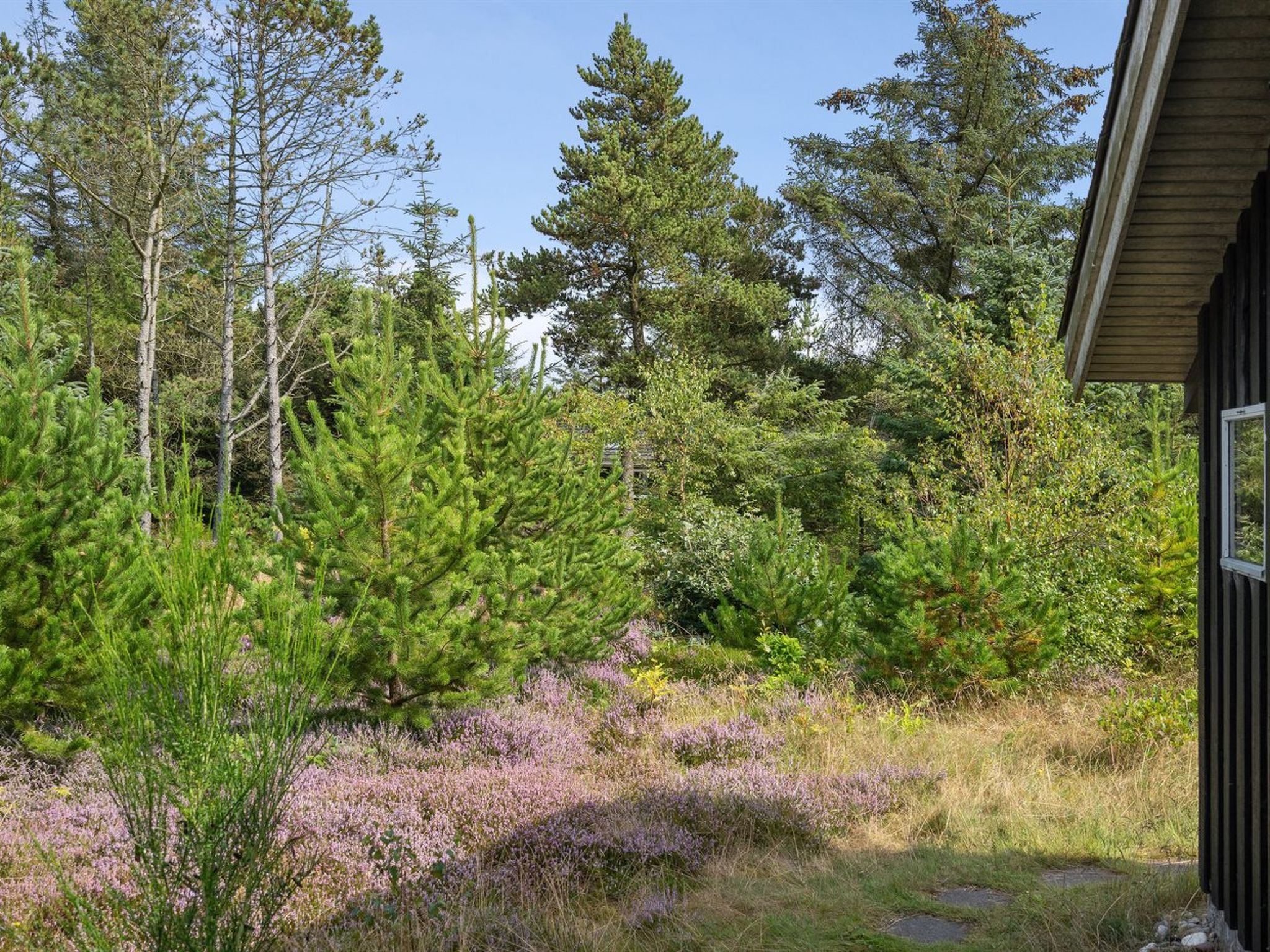 "Asmo" - 350m from the sea - Buiten