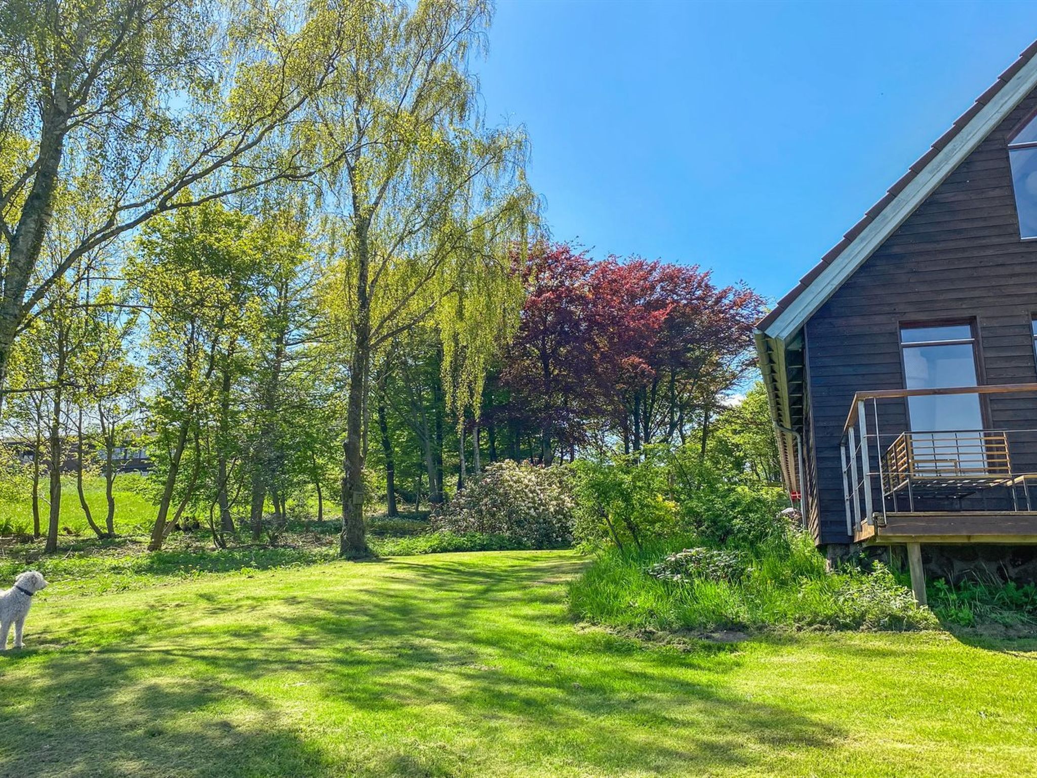 "Nella" - 1.2km from the sea - Buiten