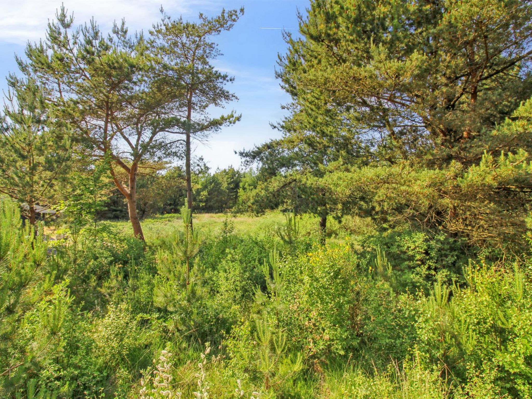 "Arlett" - 950m from the sea - Buiten