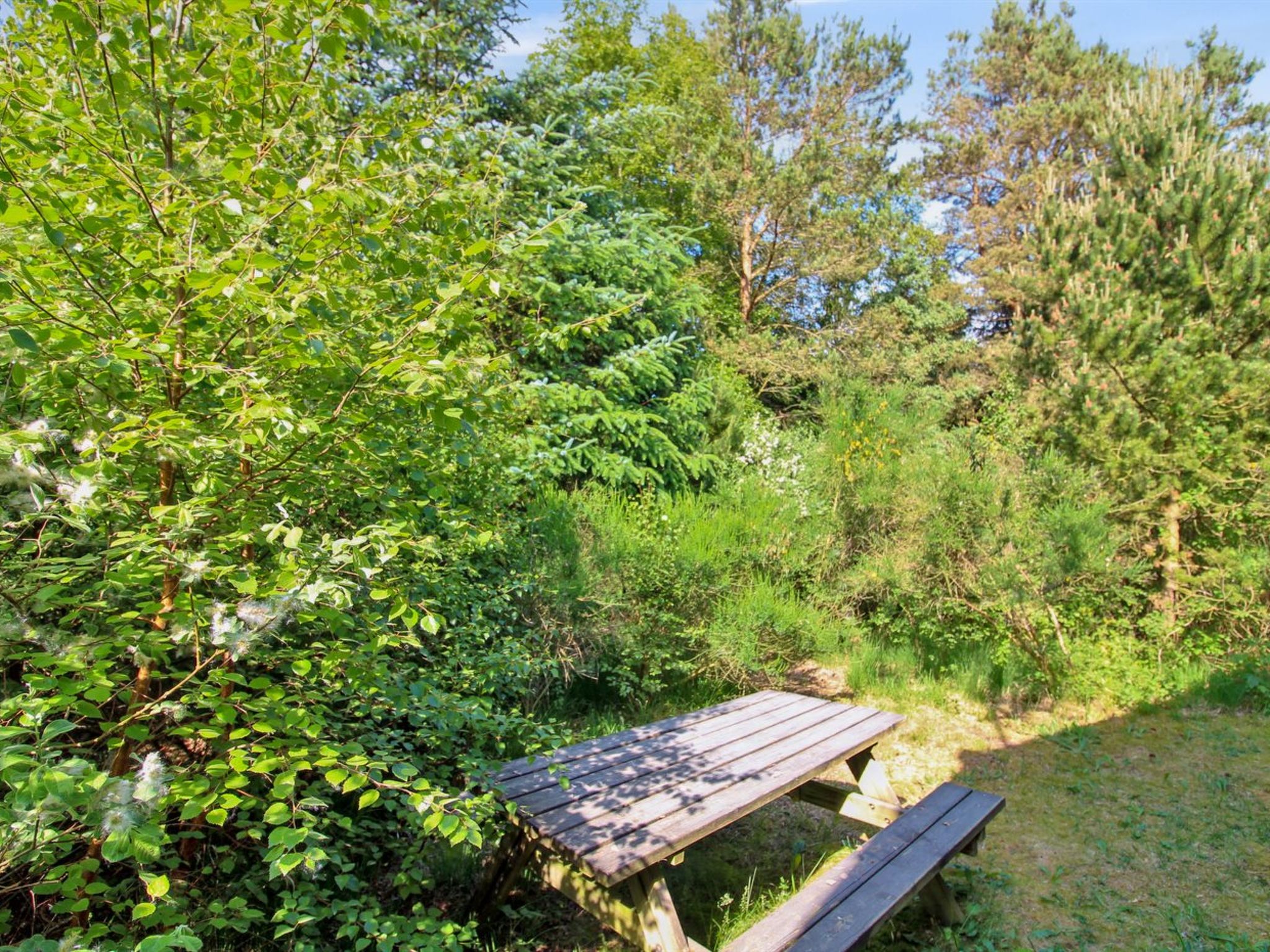 "Arlett" - 950m from the sea - Buiten