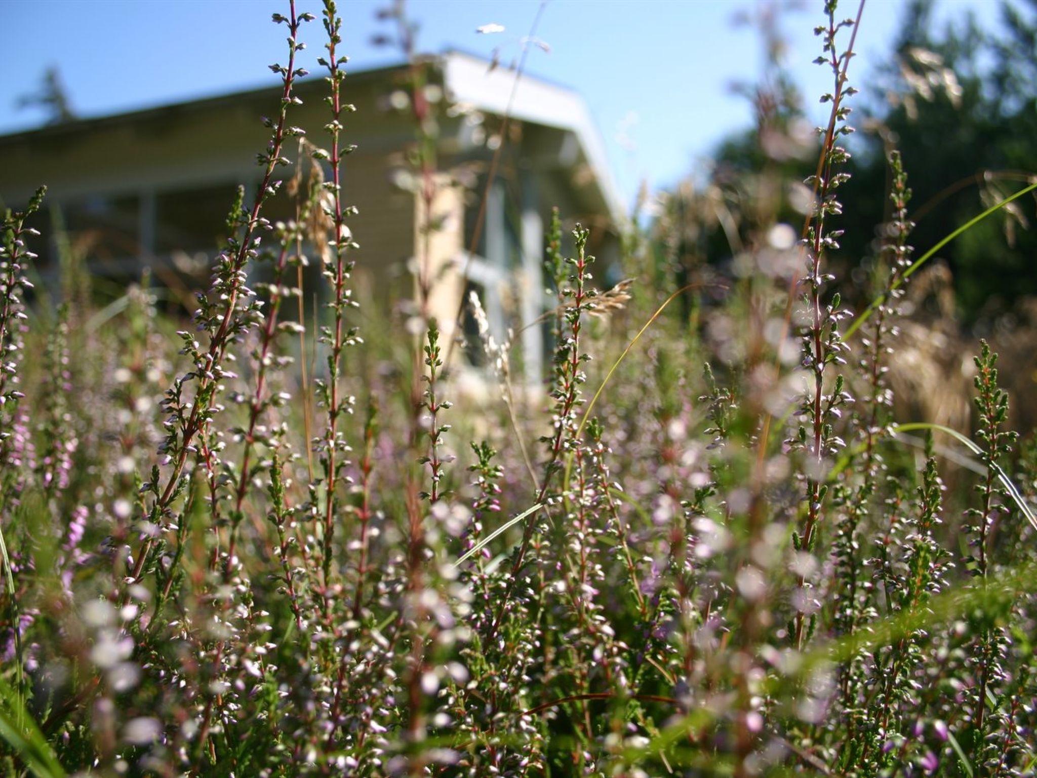 "Gisa" - 400m from the sea - Buiten