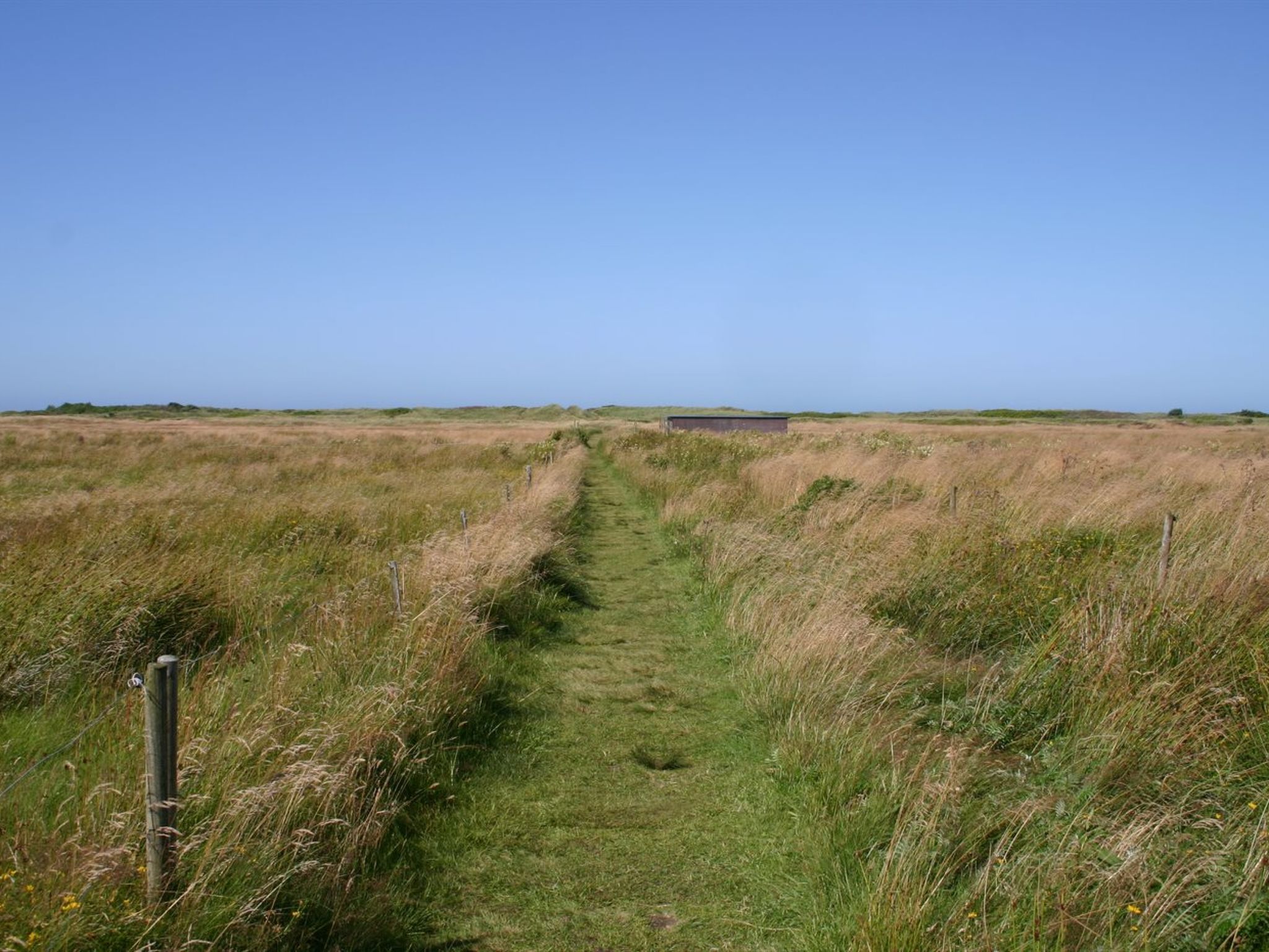 "Gisa" - 400m from the sea - Buiten