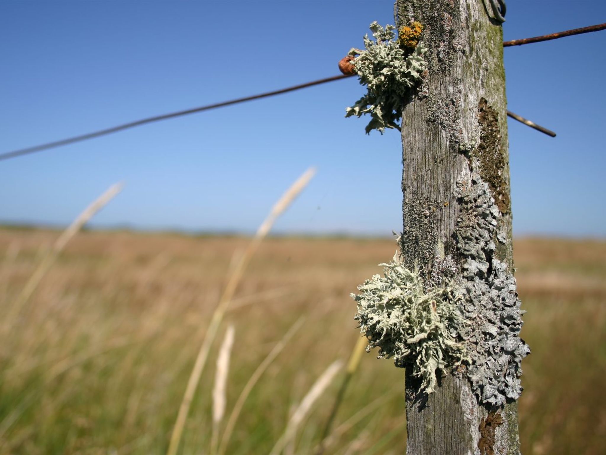 "Gisa" - 400m from the sea - Buiten