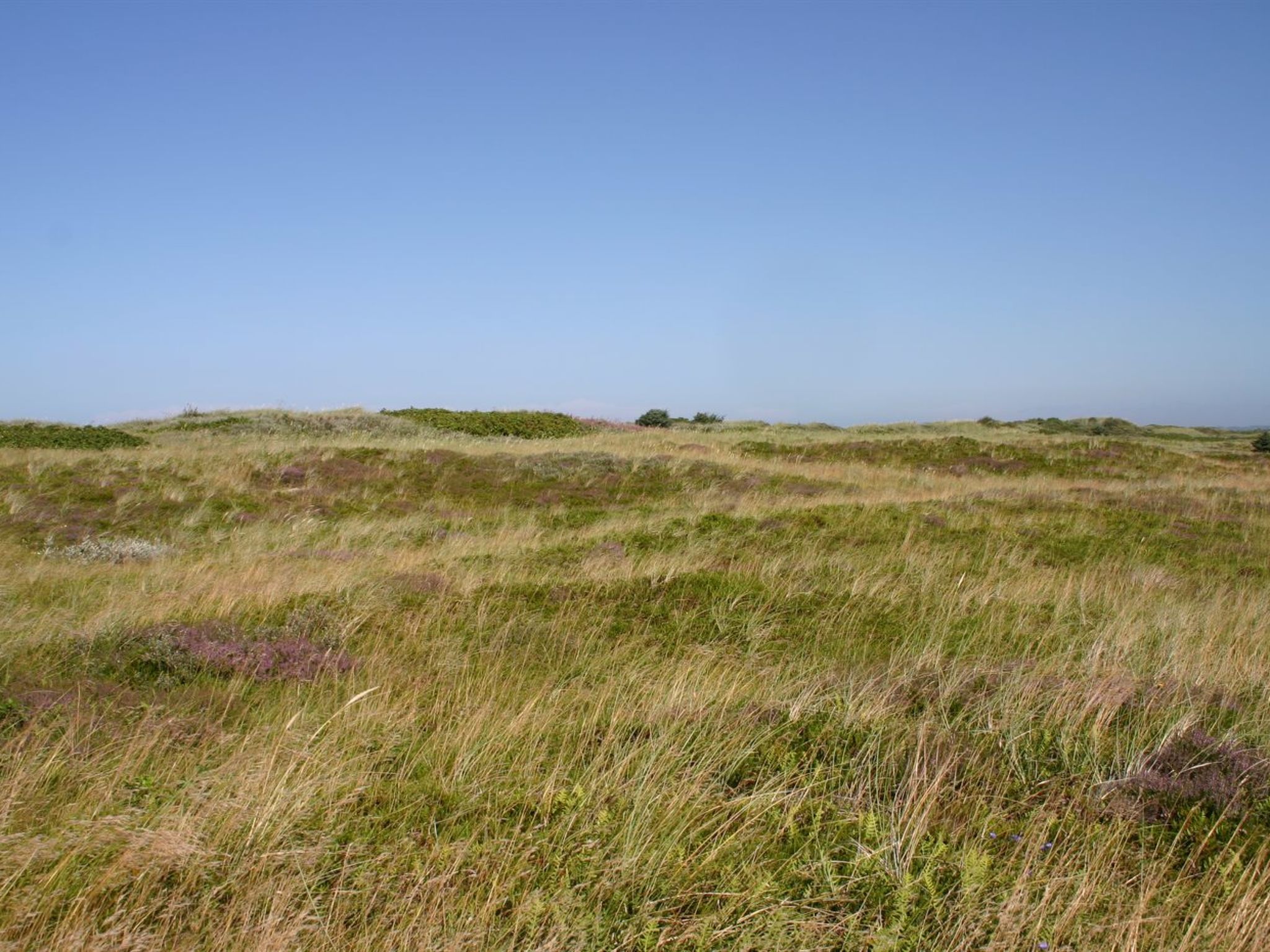 "Gisa" - 400m from the sea - Buiten